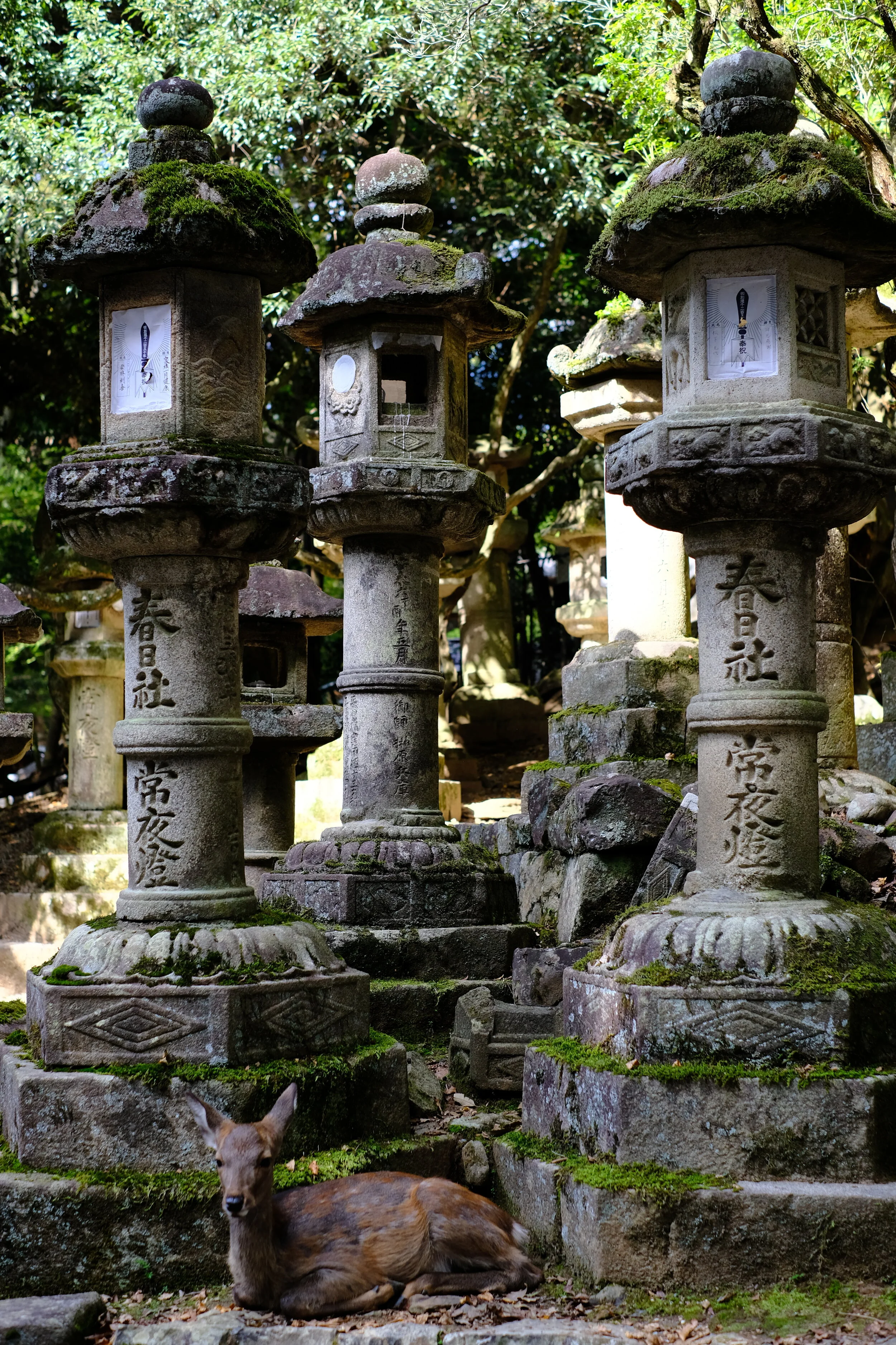 DSCF2054.JPG