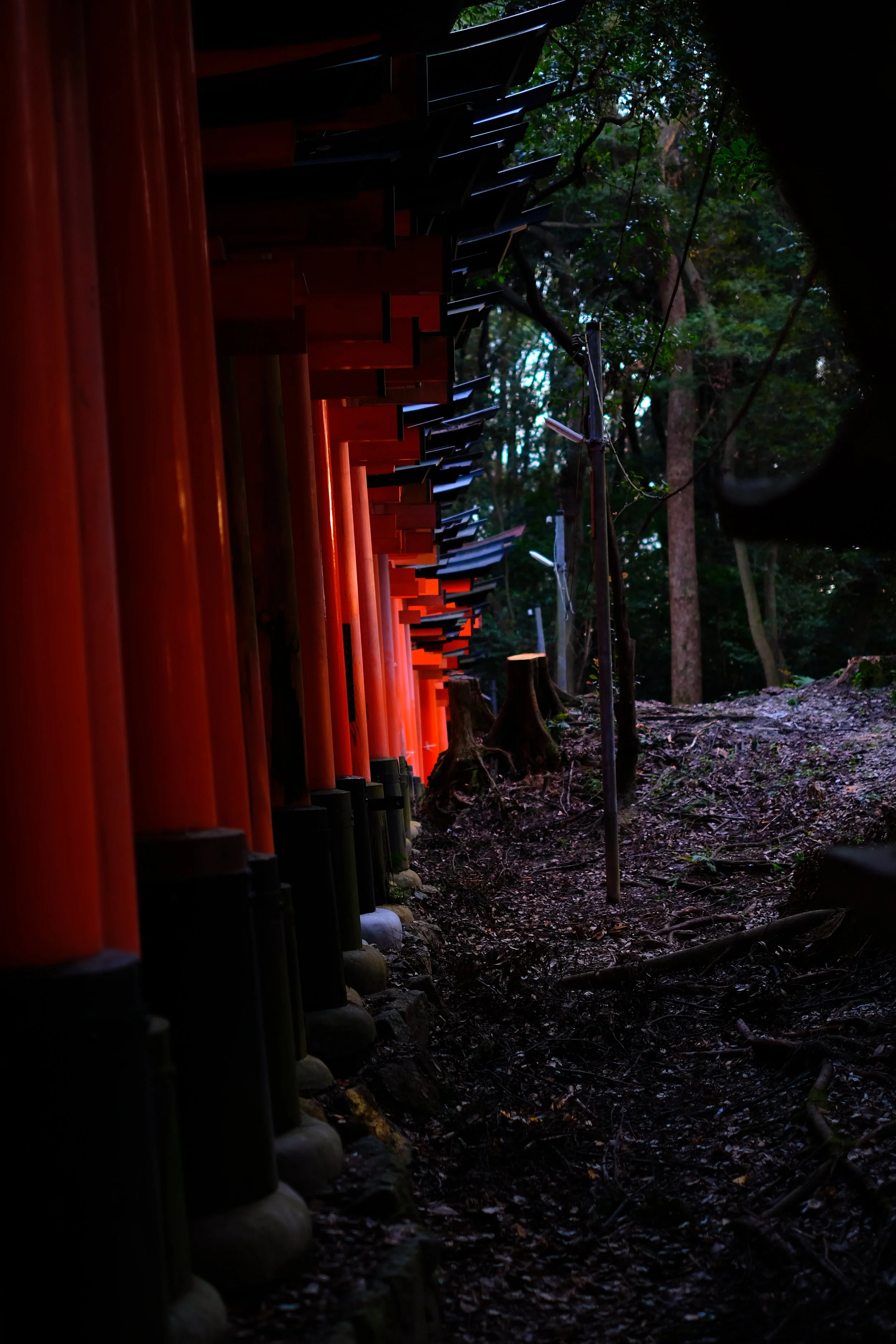 DSCF2086.JPG