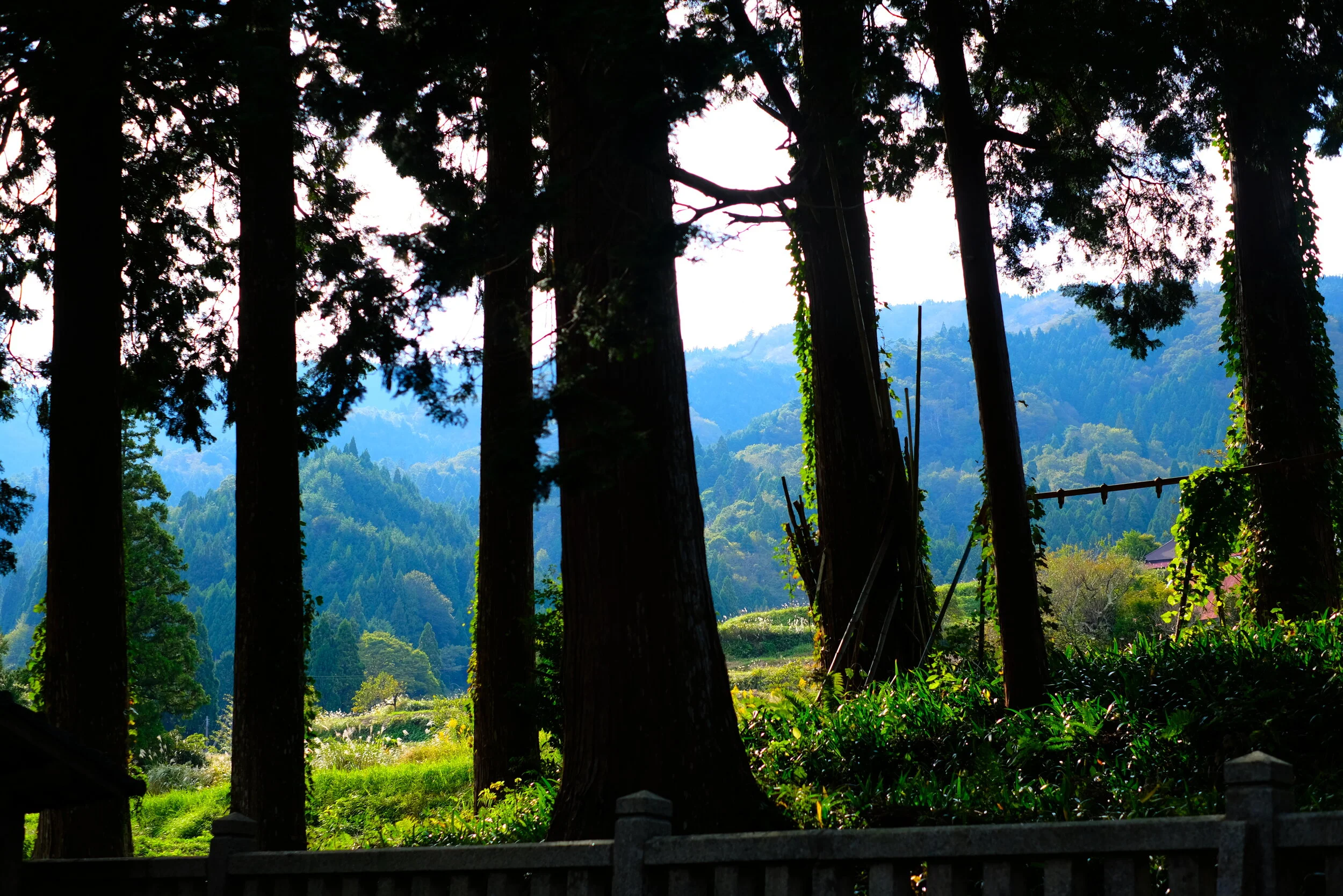 DSCF2265.JPG