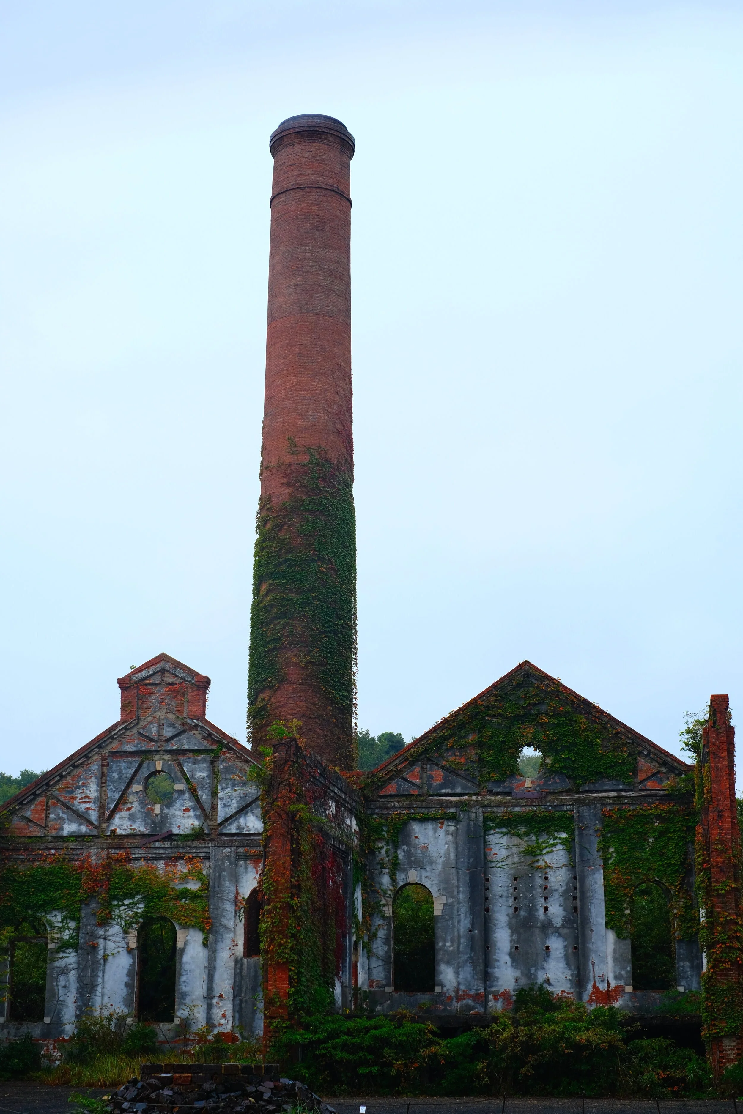 DSCF1533.jpg