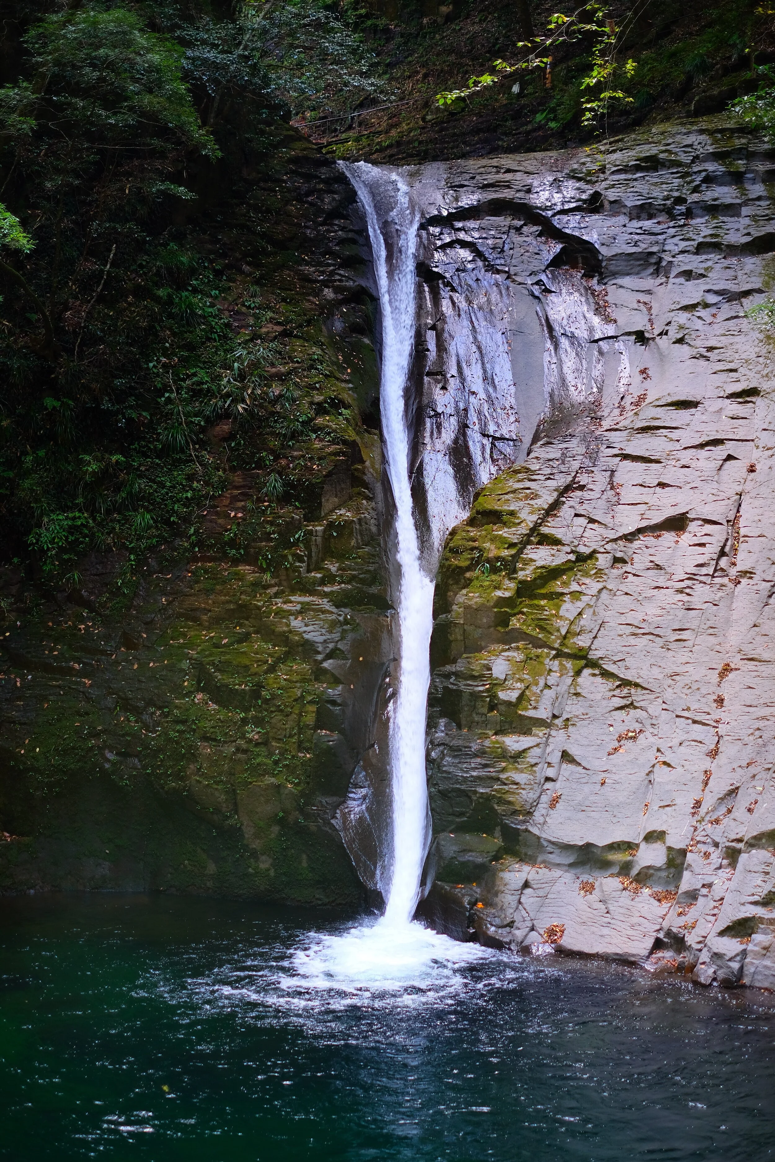 DSCF1814.jpg
