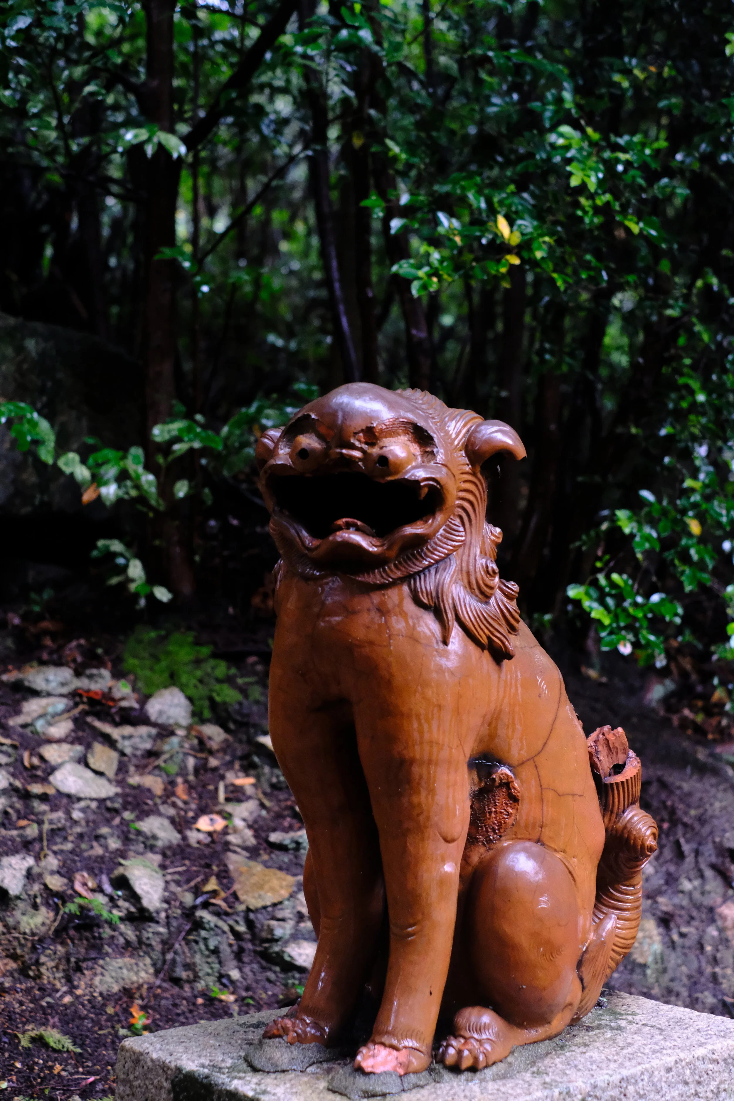 DSCF1658.JPG