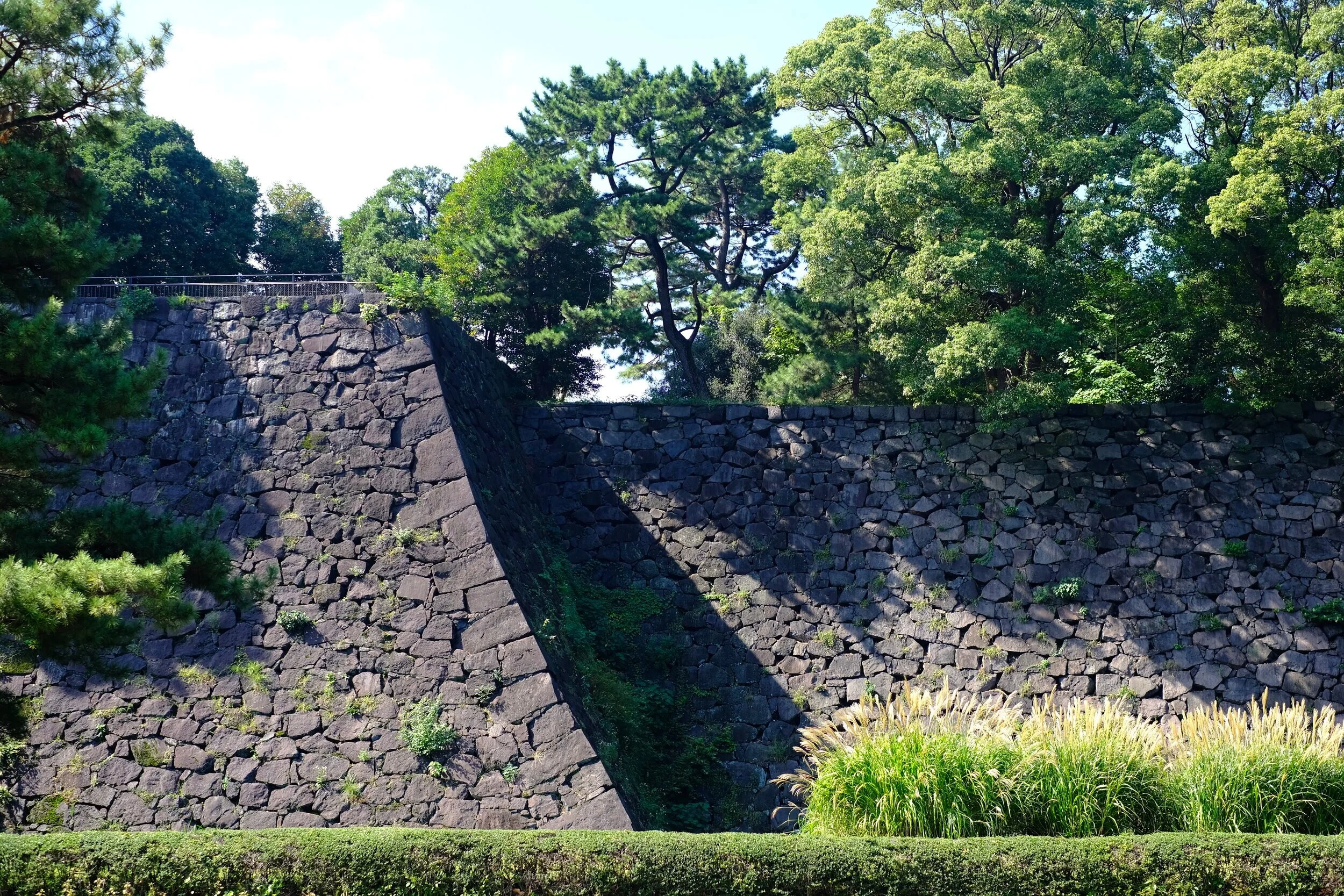 DSCF0992.jpg