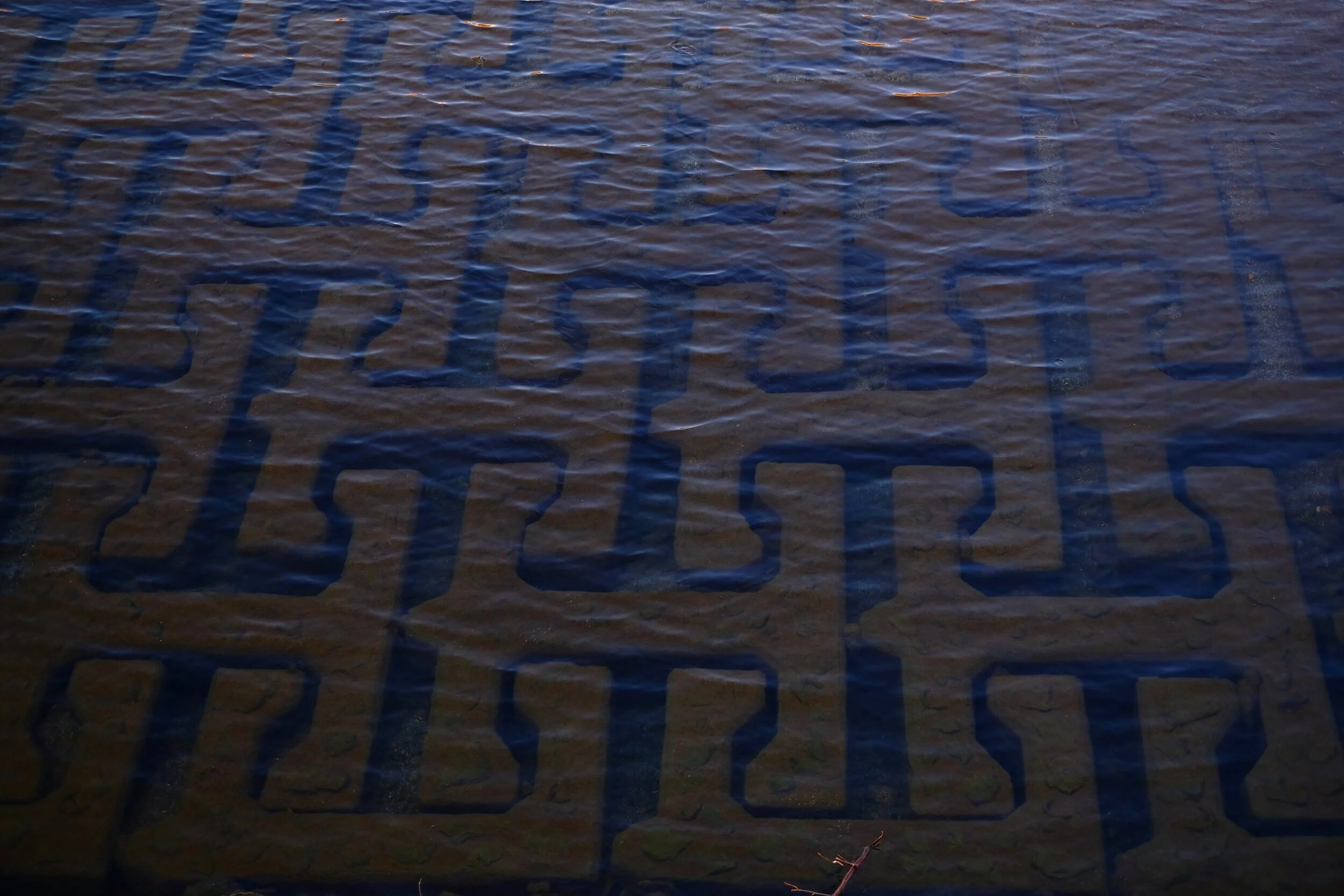 DSCF2360.jpg