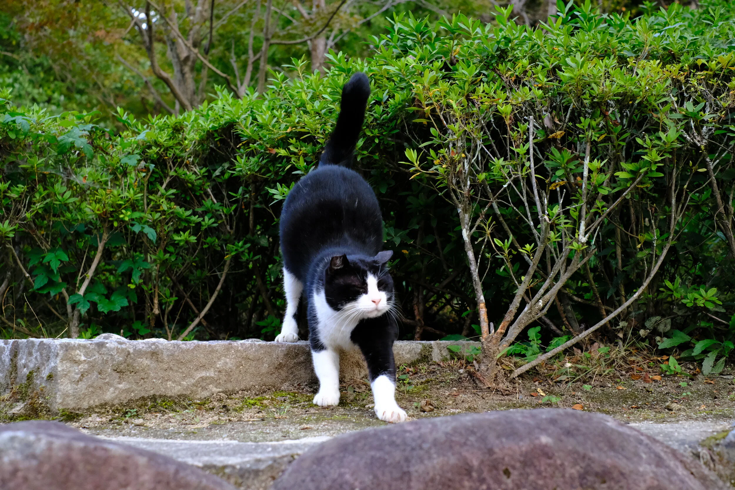 DSCF2094.JPG