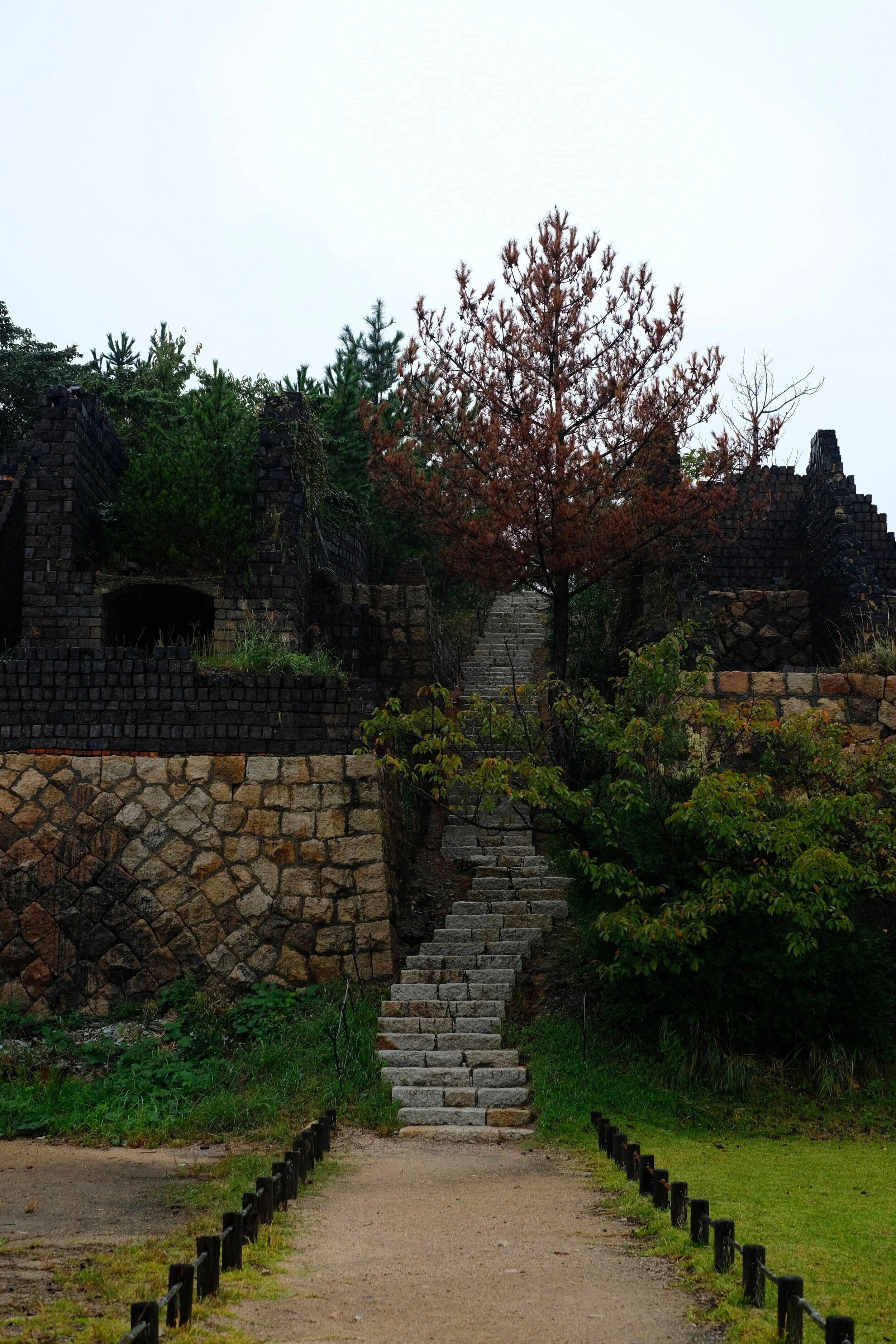 DSCF1449.jpg