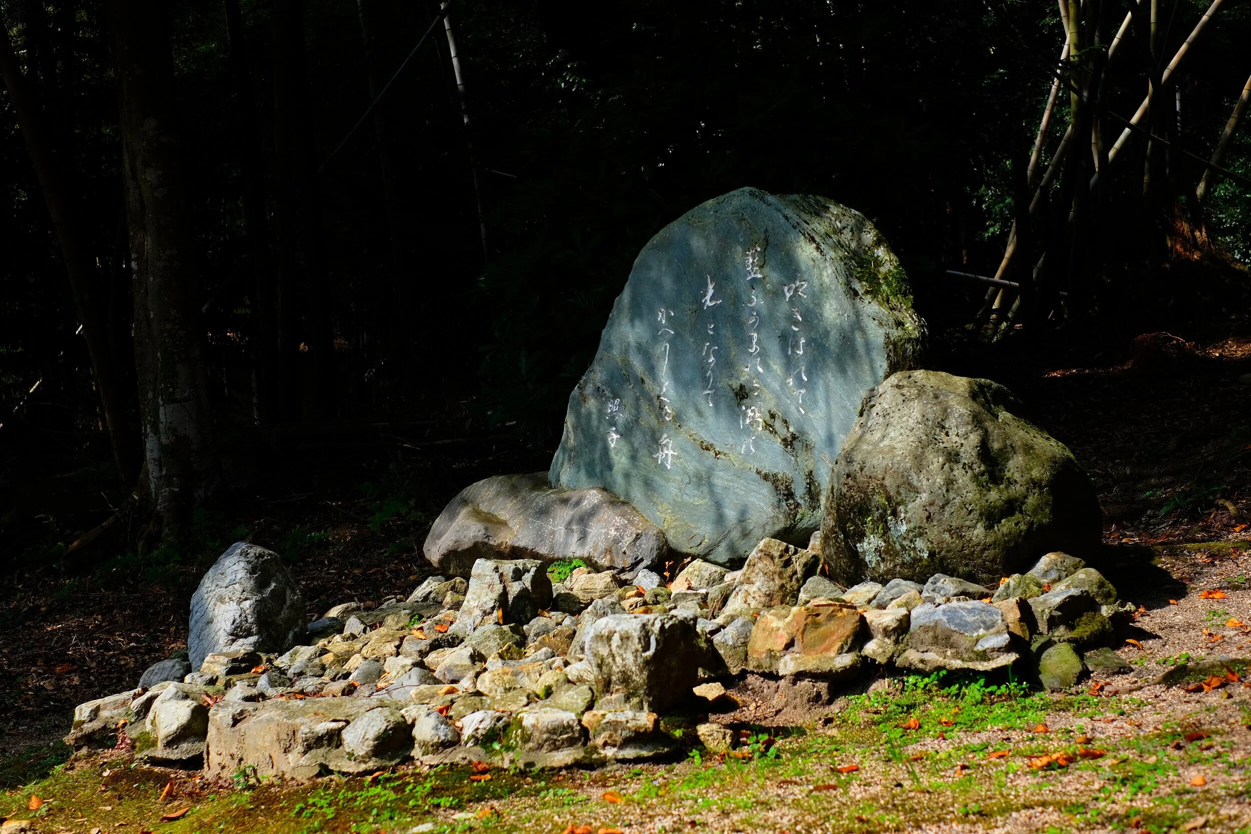 DSCF2133.jpg