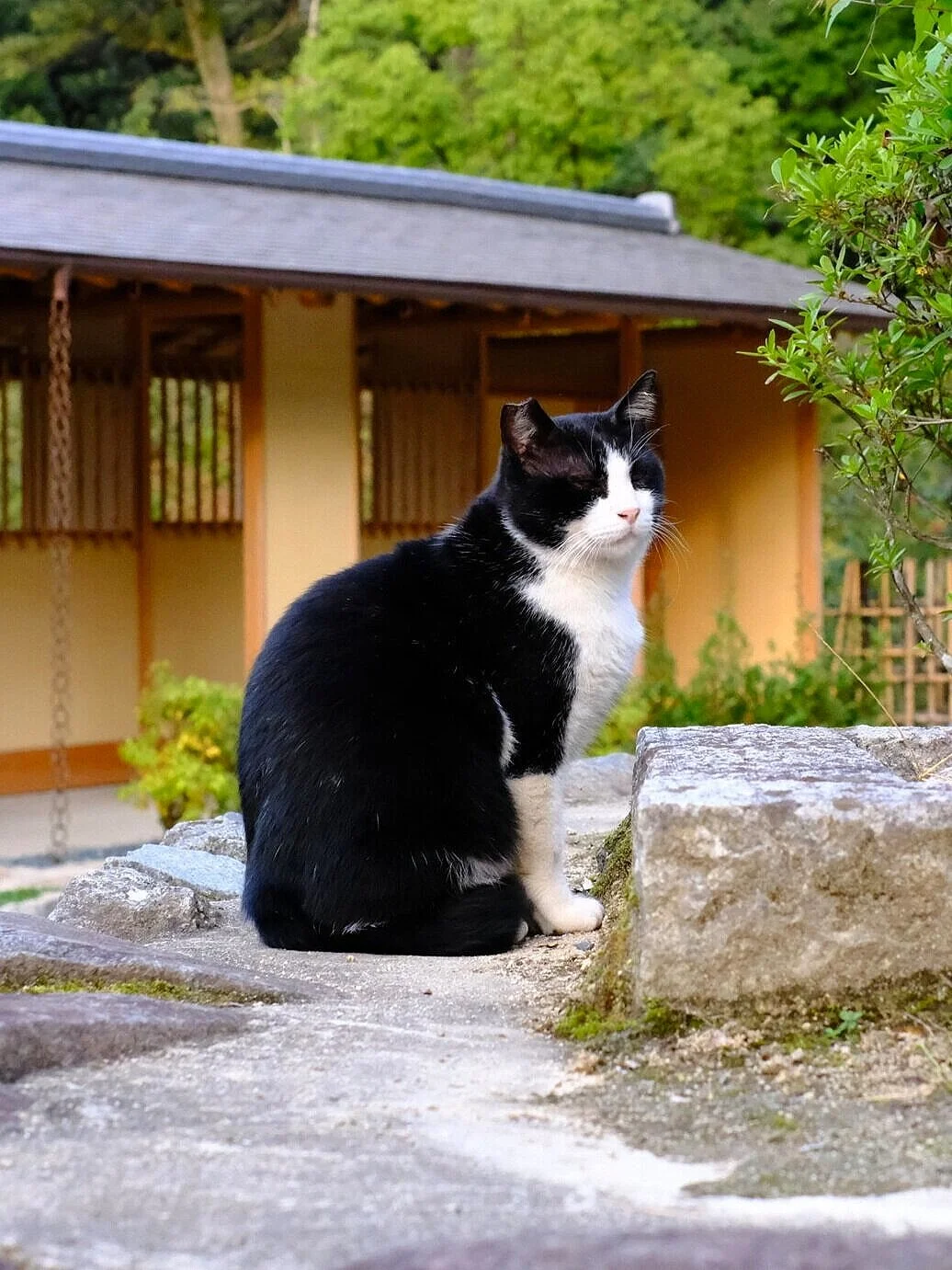 DSCF2090.jpg