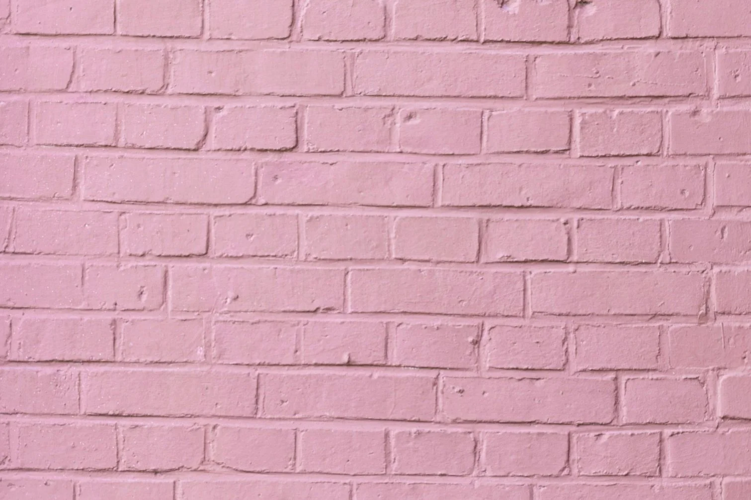 image-asset.jpg