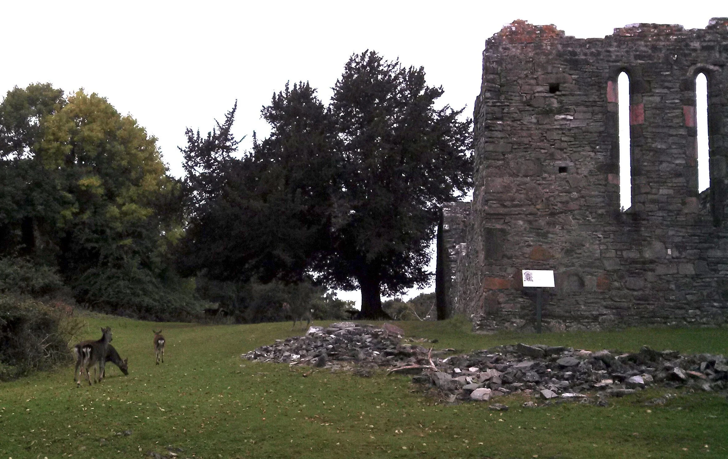 Innisfallen Island, Ireland