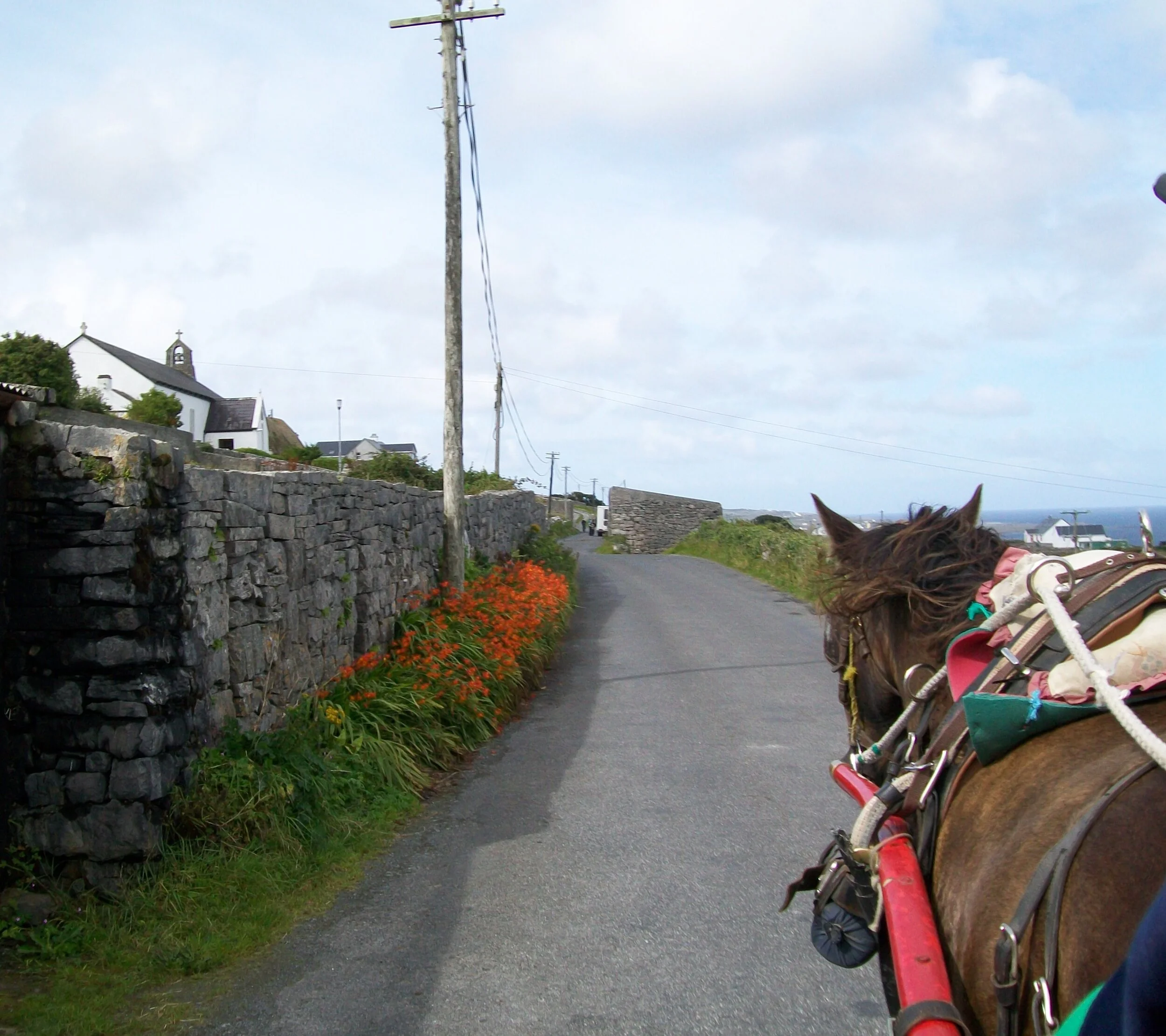 Horse and Buggy, Aran Isles