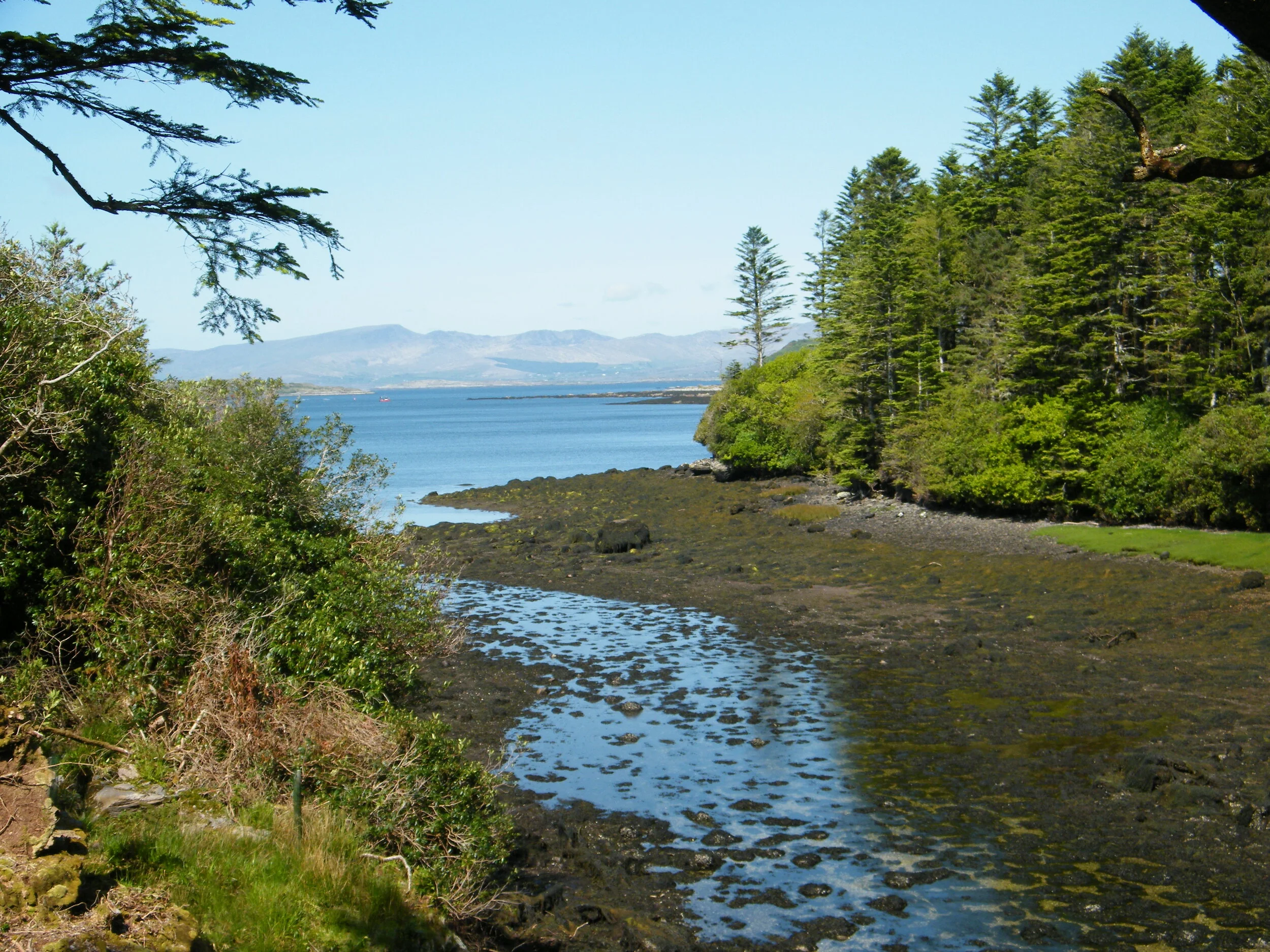 Derreen Gardens