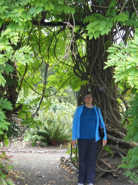 2013 Ireland 635.JPG