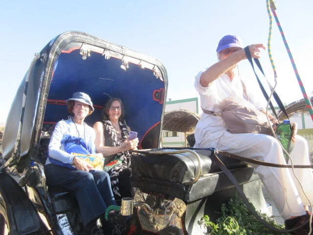 Egypt carriage Shelia Theresa.JPG