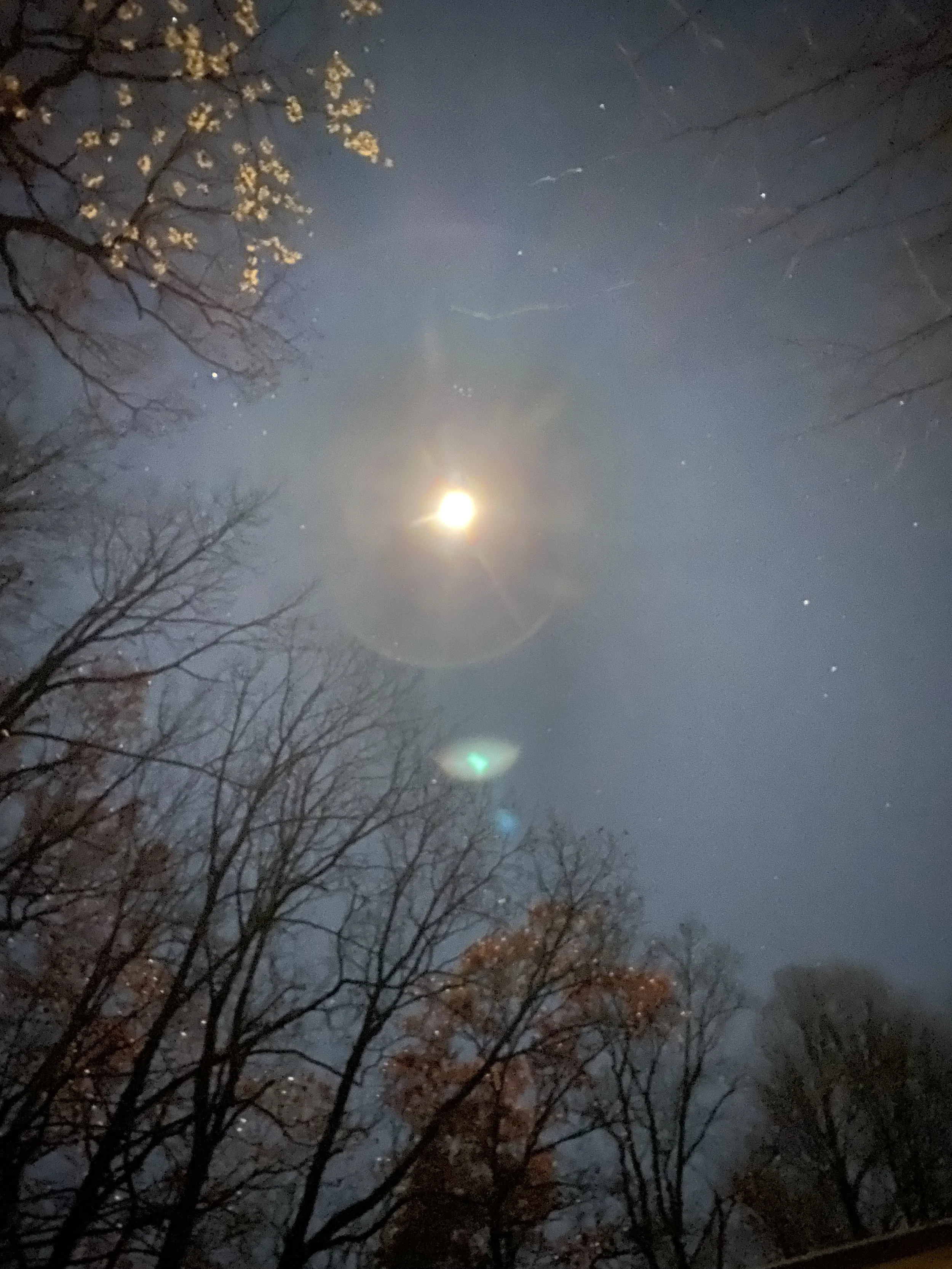 moon full 11-2021 (2).jpg