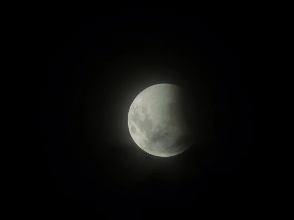 Moon Jan 2019 (1).JPG