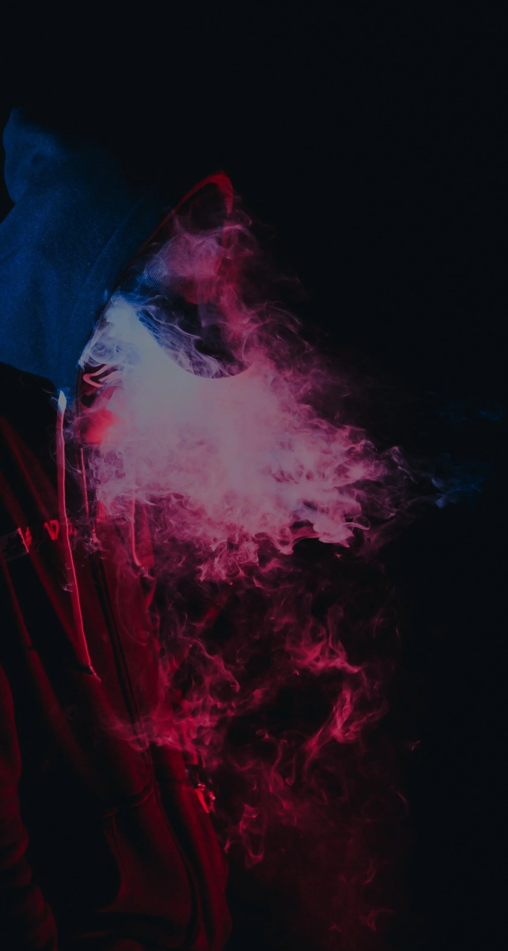 wild-vibes-1RnPg7tET_s-unsplash.jpg