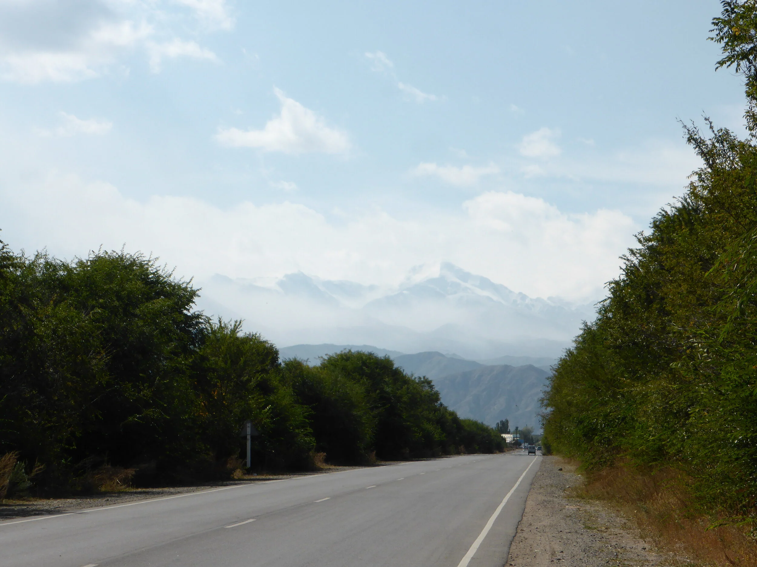 Purposeful Travel