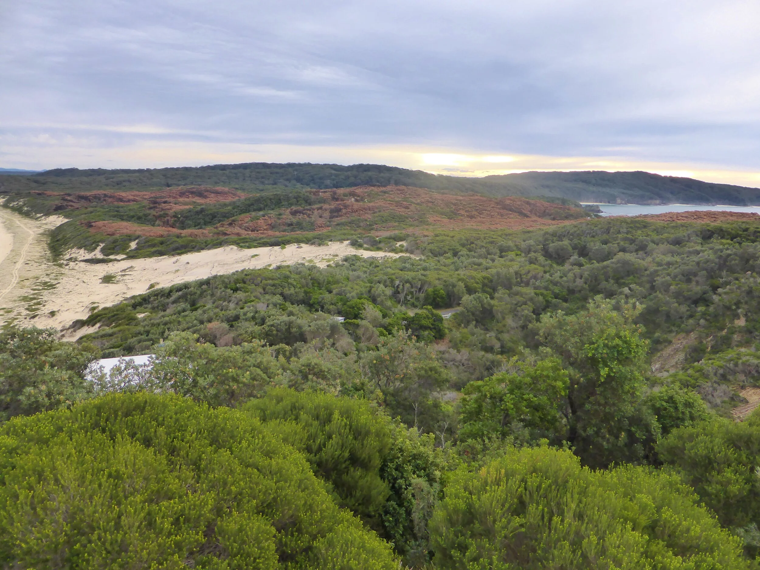 Inland View from Seal Rocks, NSW