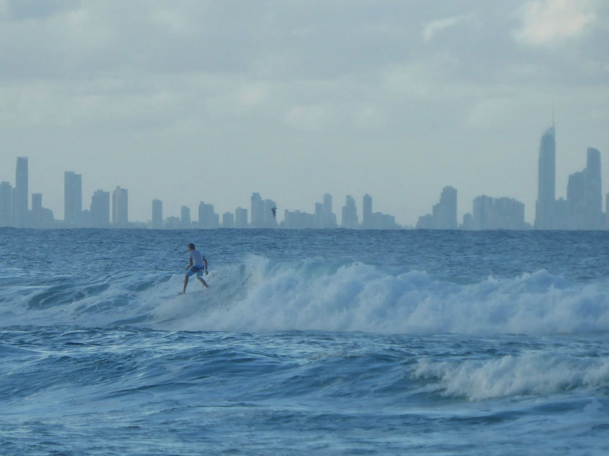 Surfer in front of the Gold Coast skyline