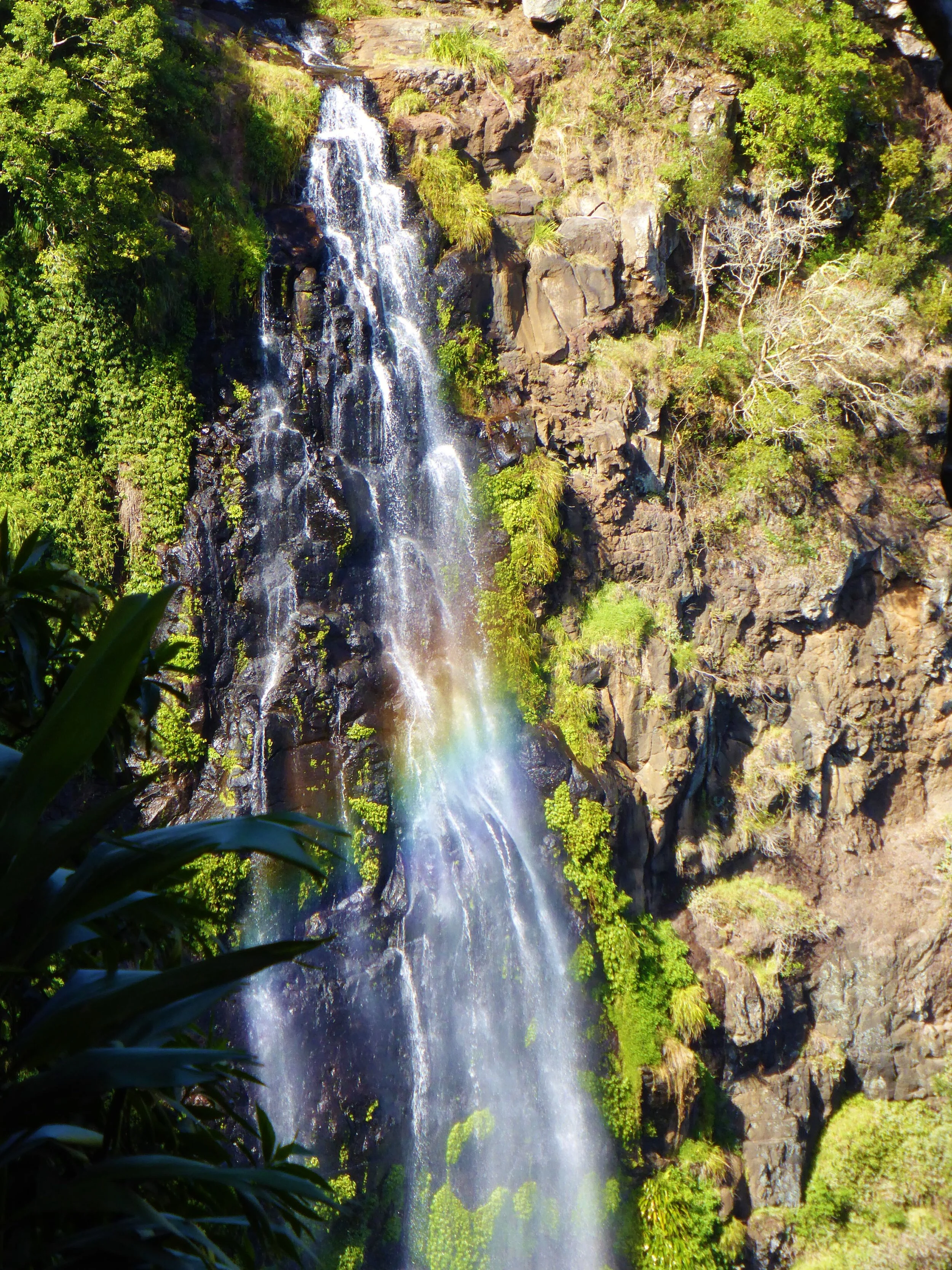 Rainbow in a waterfall in Lamington National Park