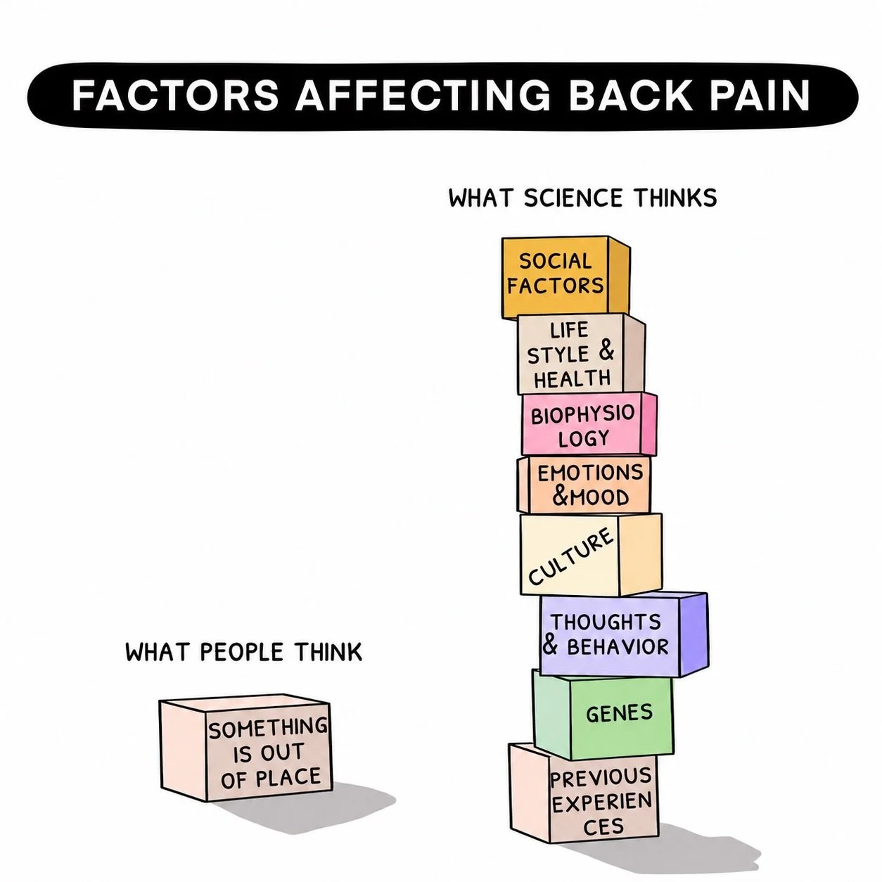 Back pain is rarely just about &ldquo;something being out of place.&rdquo; 👀

What science actually shows us is that back pain is influenced by a mix of factors:
🧠 Stress + emotions
💤 Sleep + recovery
🏋️ Activity levels + load management
🧬 Previ
