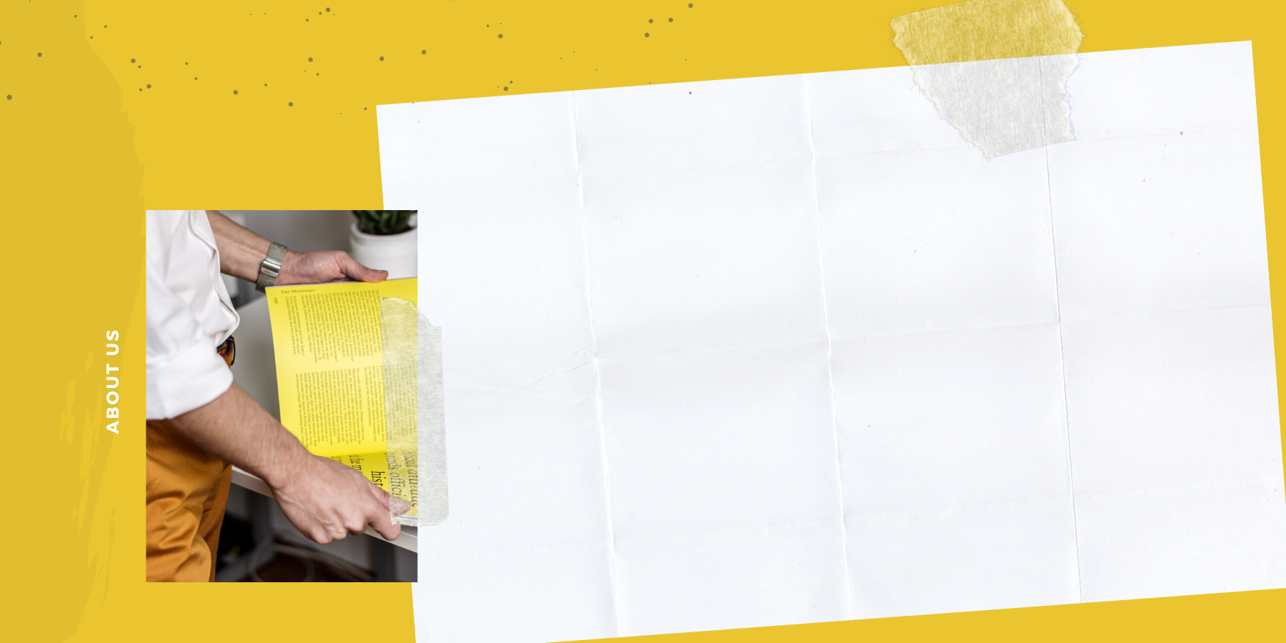 selene marketing banners (3).png