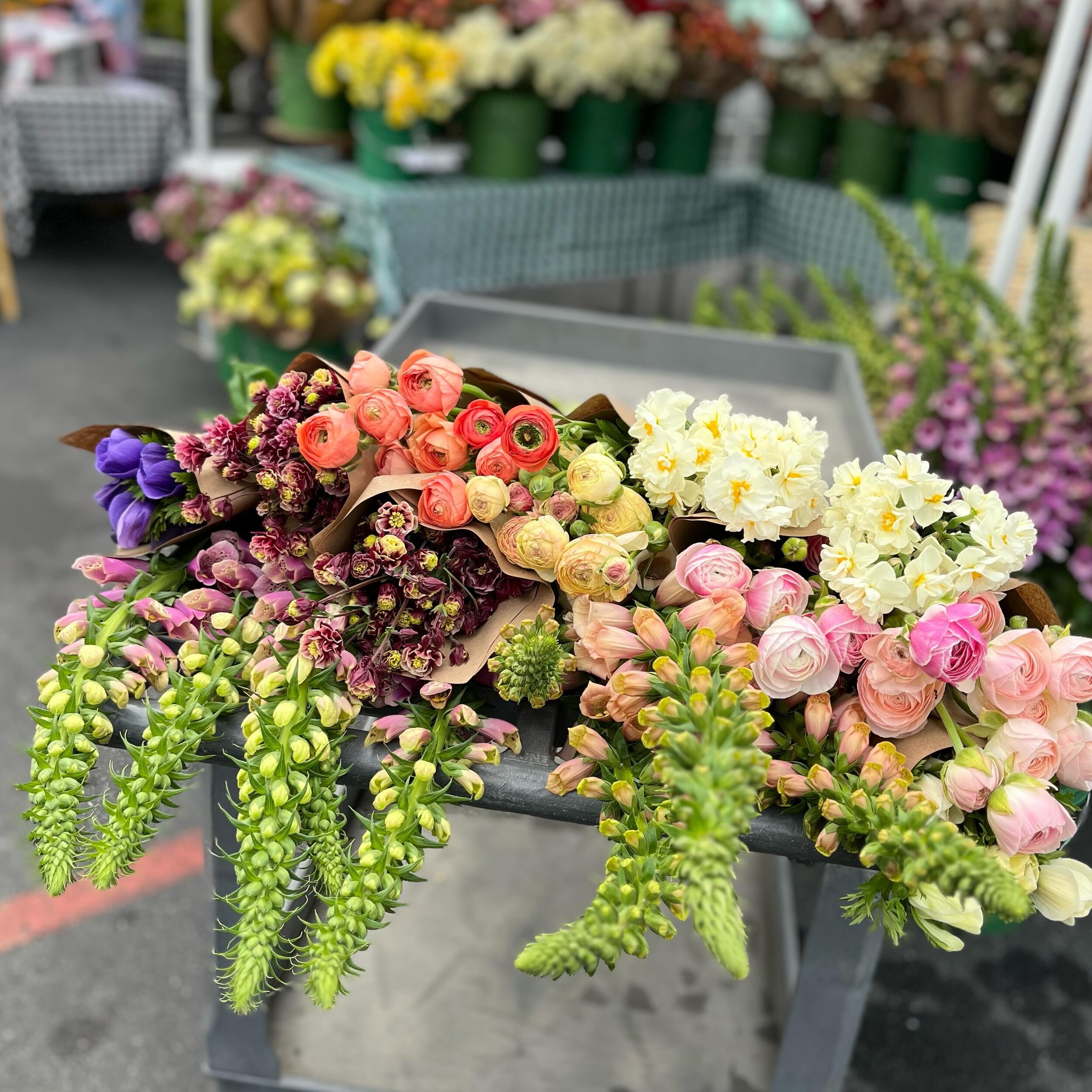 Our buy from @frontporchfarmer at the @aginstituteofmarin this morning is just blowing me away! monster sized foxglove, cute little columbine, fluffy narcissus, ranunculus and anemones. Spring has definitely sprung!!!

#markethallfoods #rockridgemark