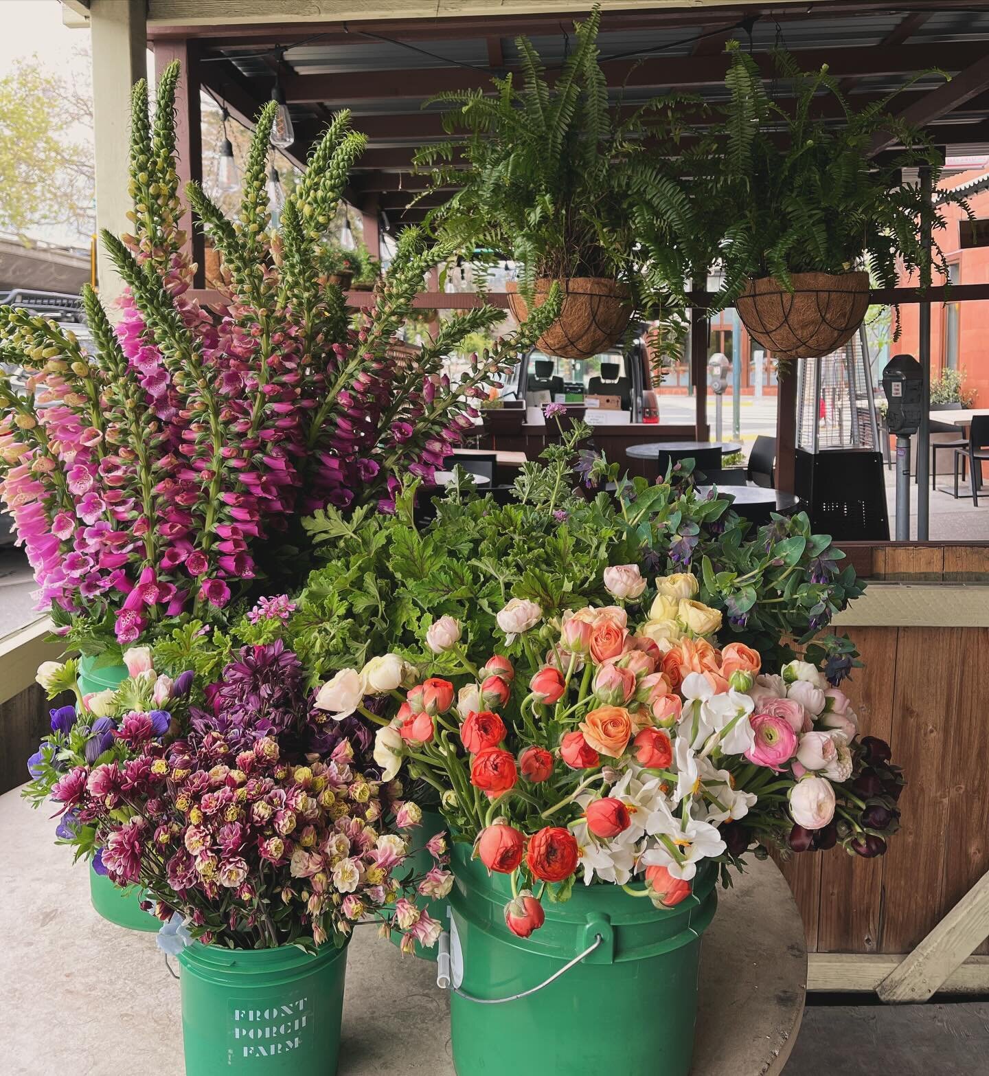 @frontporchfarmer dropped these babies off. We&rsquo;re all about their farm-to-flower shop service 🌿💚🌿 And we&rsquo;re loving playing with these hyper-local columbine!

#sustainableflowershop #sustainableflowerfarm #certifiedorganicflowers #slowf