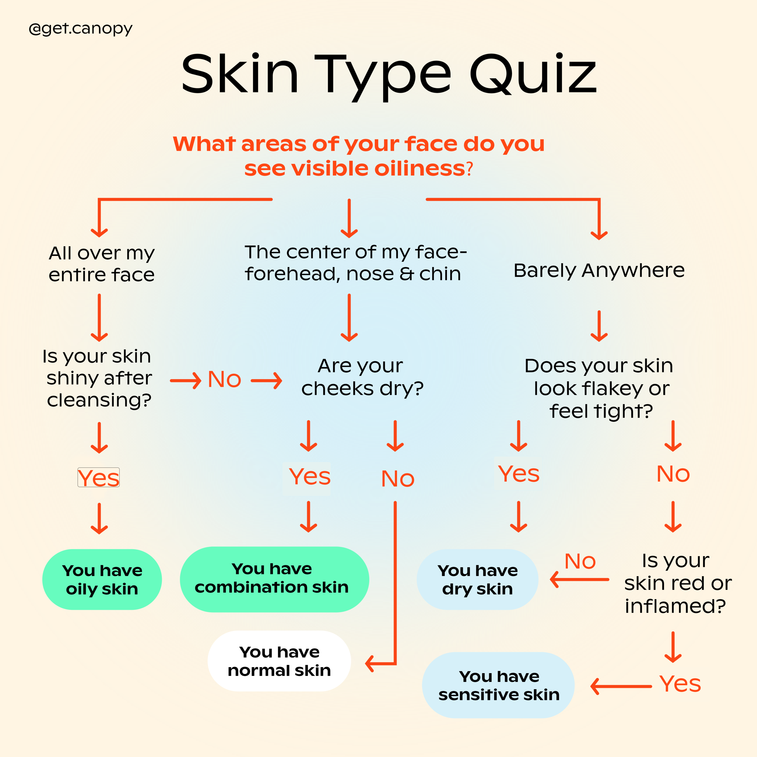 Skin Quiz V2.png