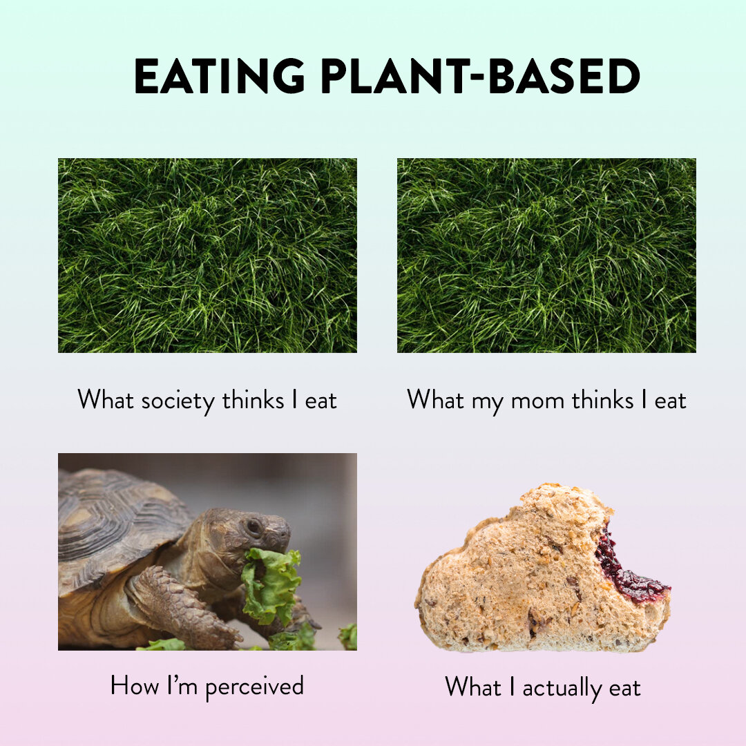 plant-Recovered-Recovered.jpg