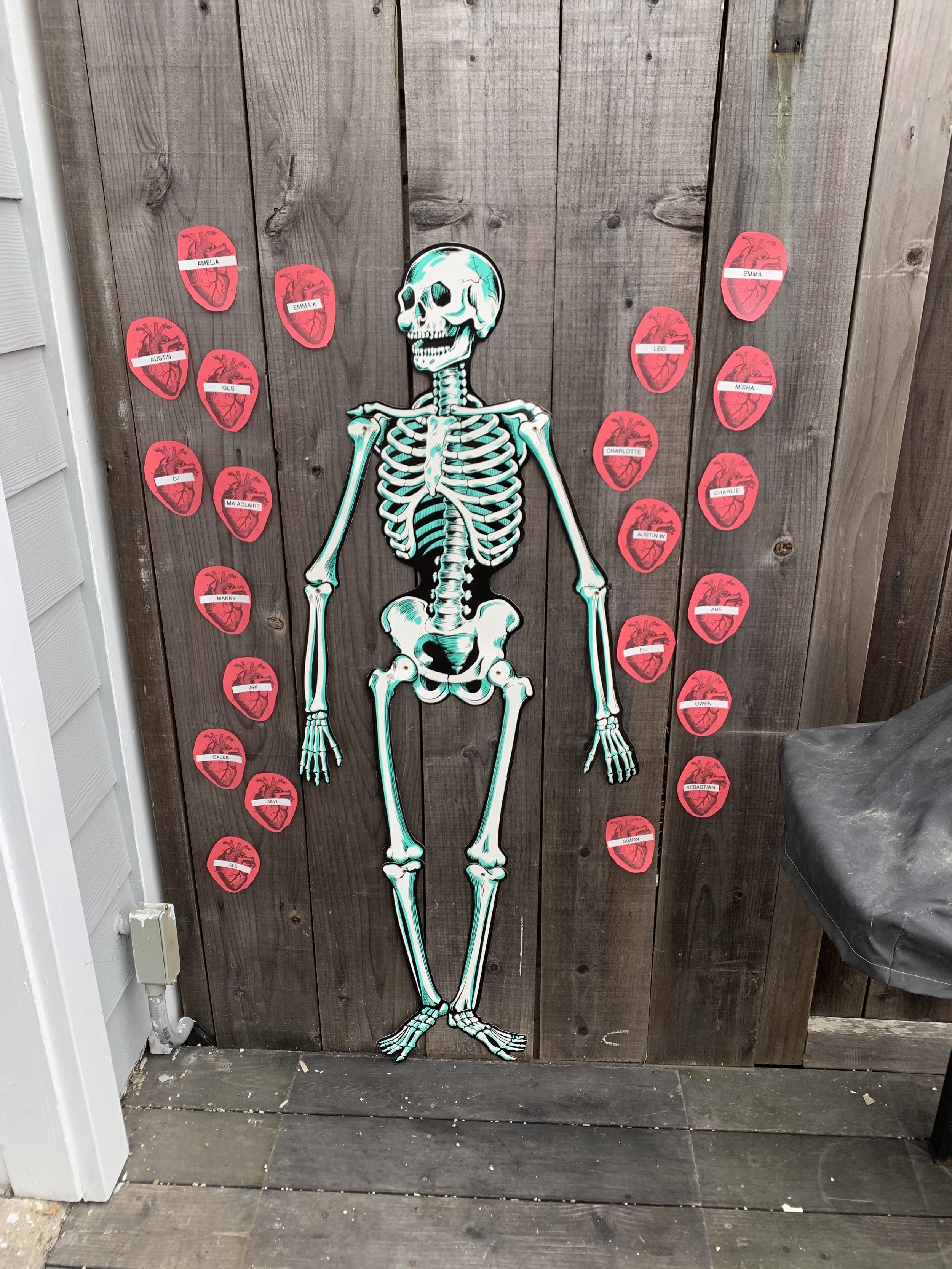 Pin the heart on the skeleton 