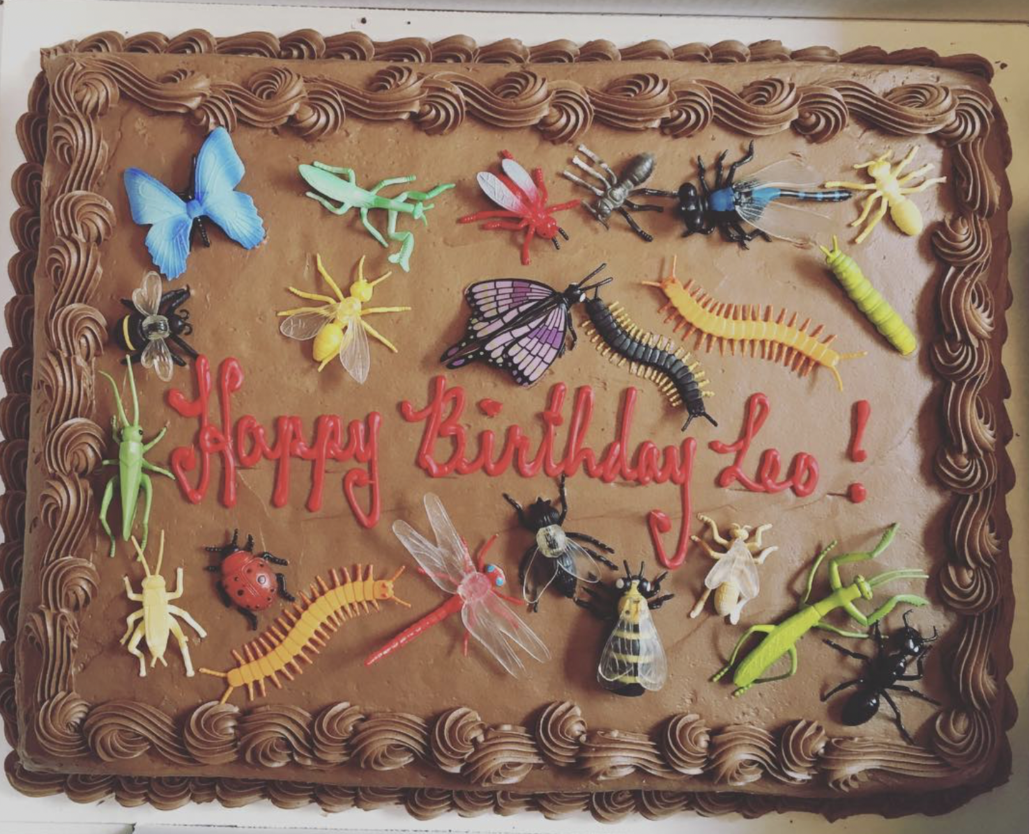Nothing like Costco sheet cake and plastic bugs!