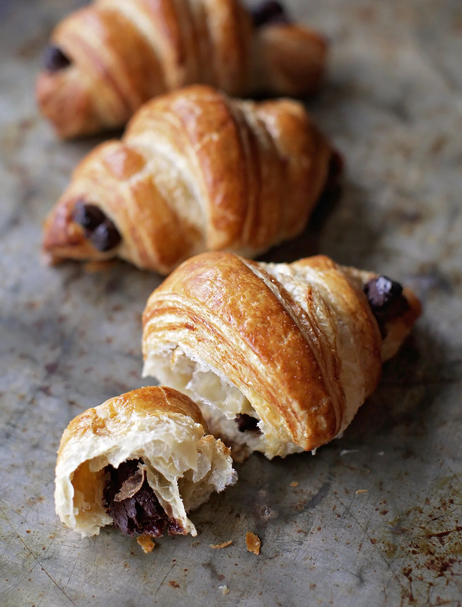 Chocolate — Shop Macrina Bakery