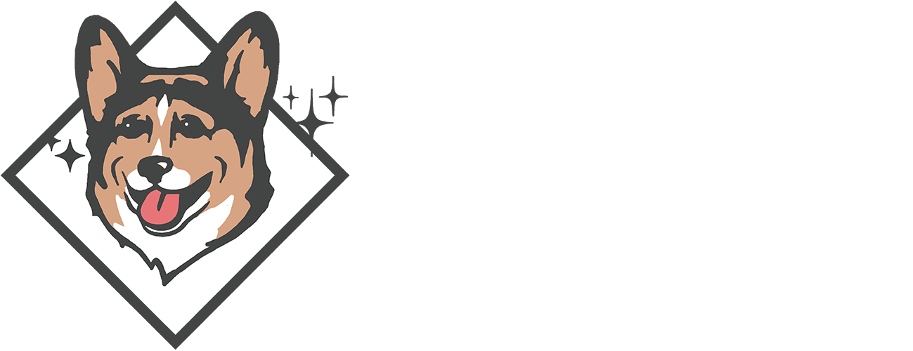 Rare Dog Marketing