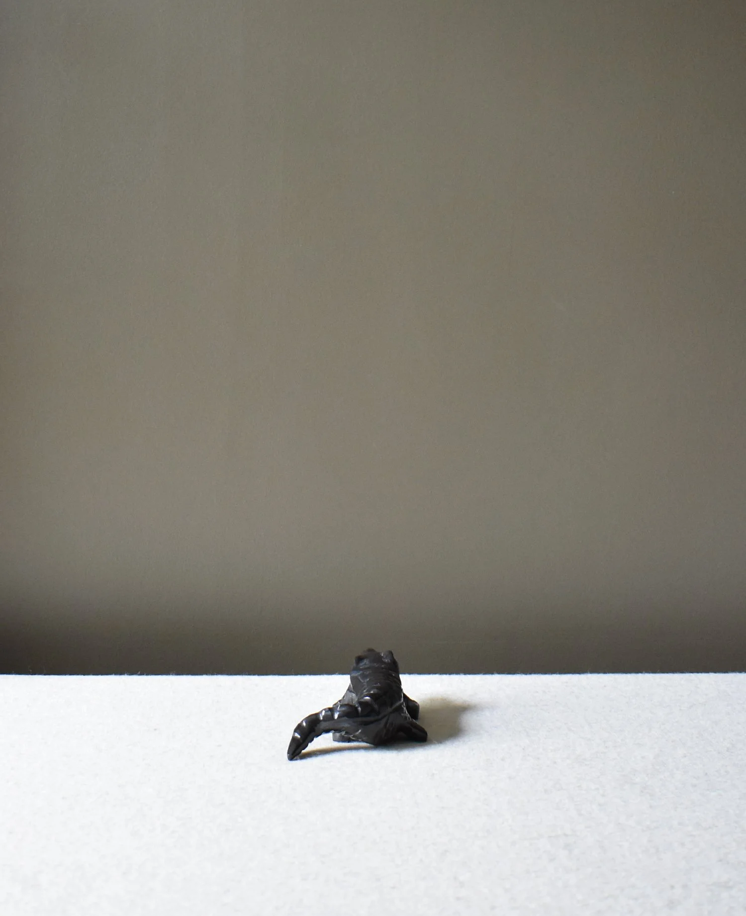 Onyx-Croc-3.jpg