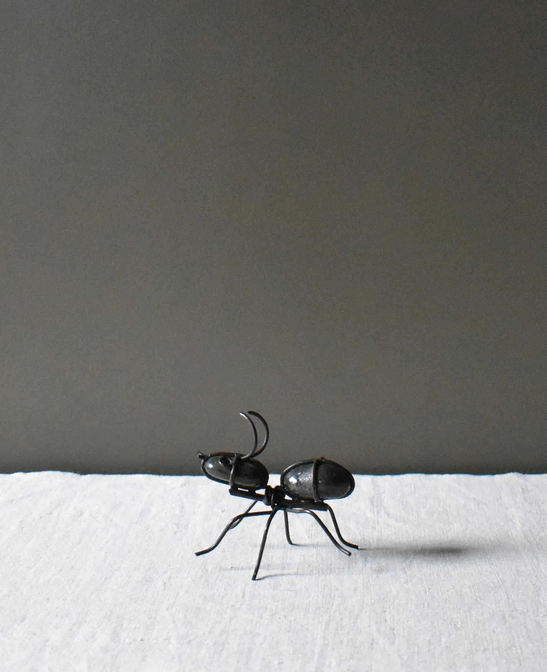 stone-ant2.jpg