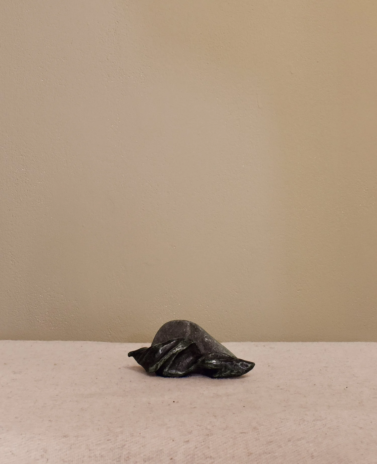 shell-on-rock-2.jpg