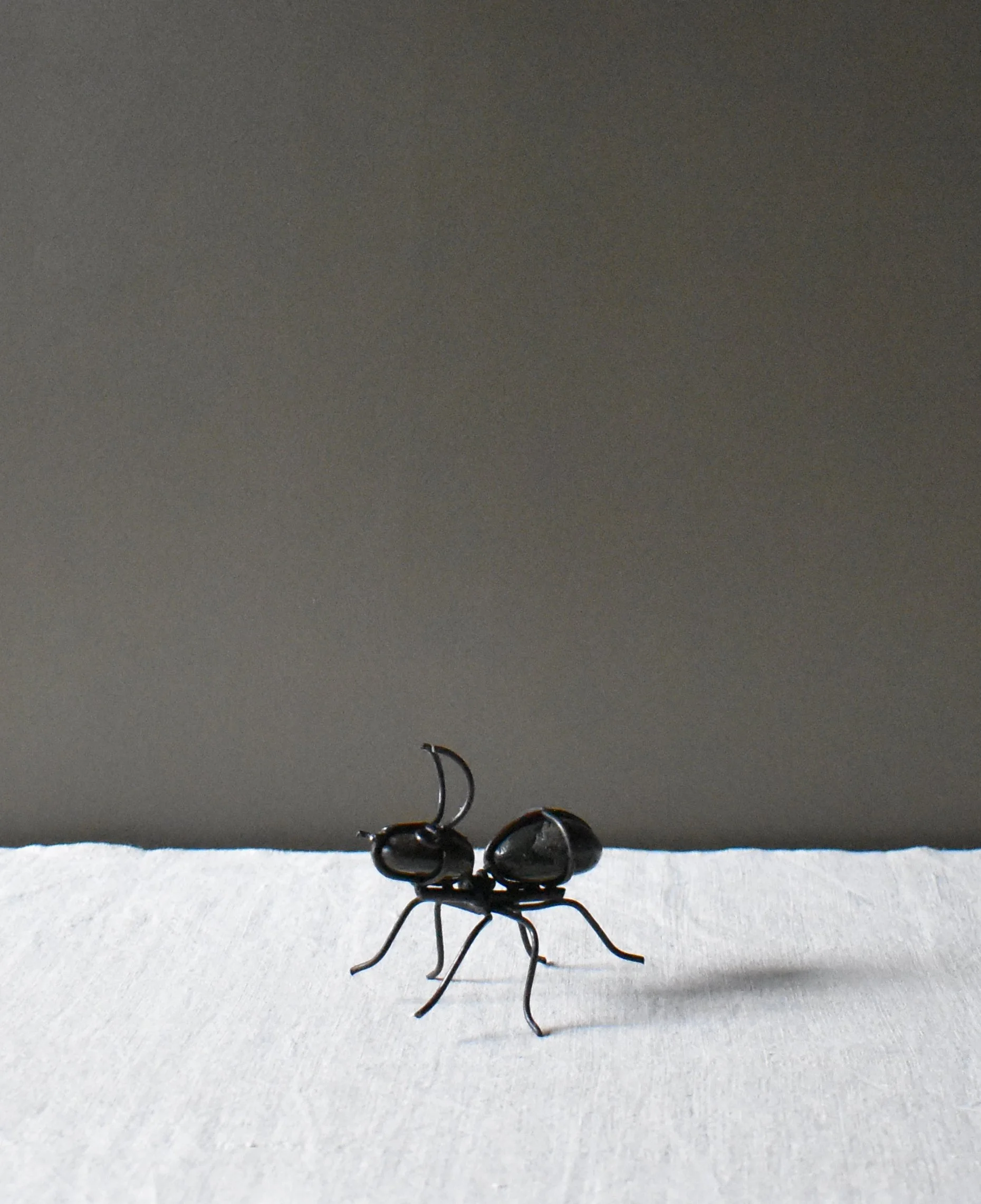 stone-ant1.jpg