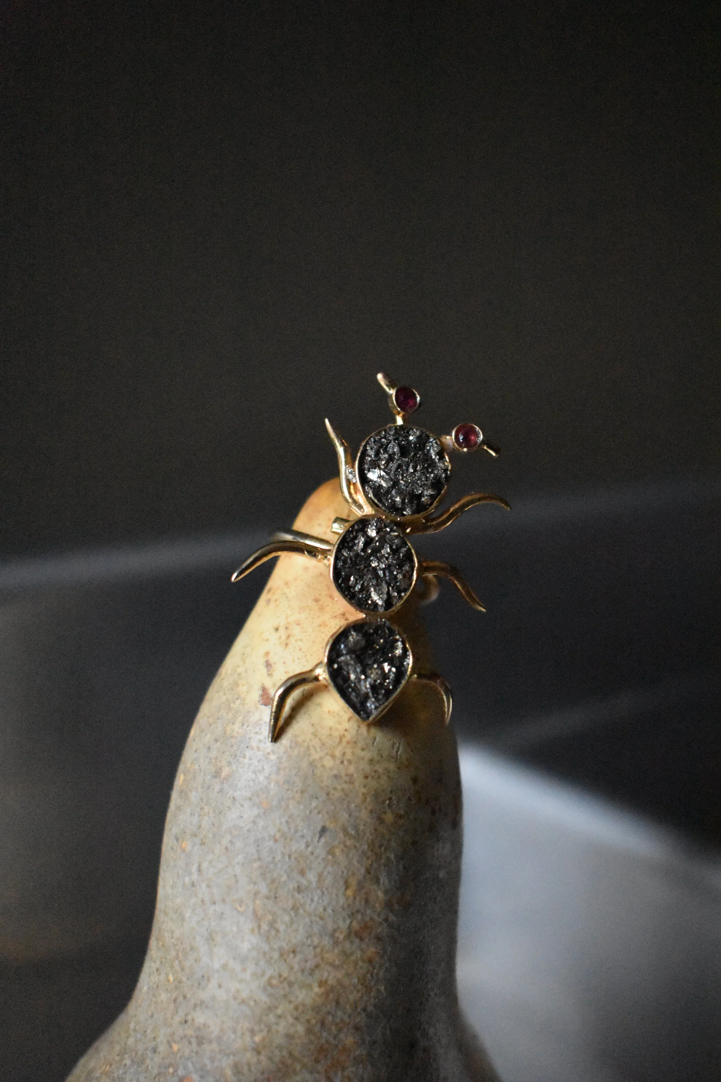 Ant2.jpg
