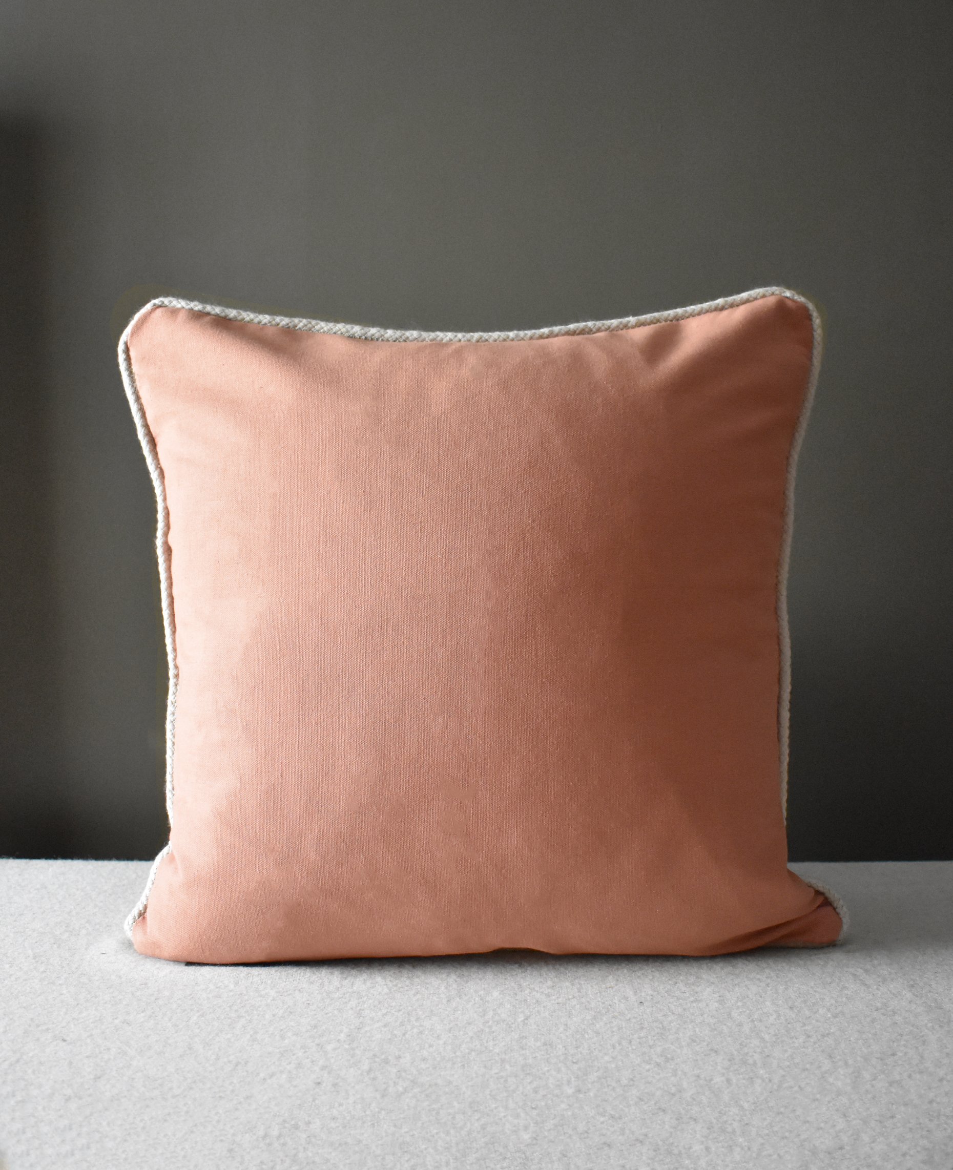 cushion-50x50-back-salmon.jpg (Copy)