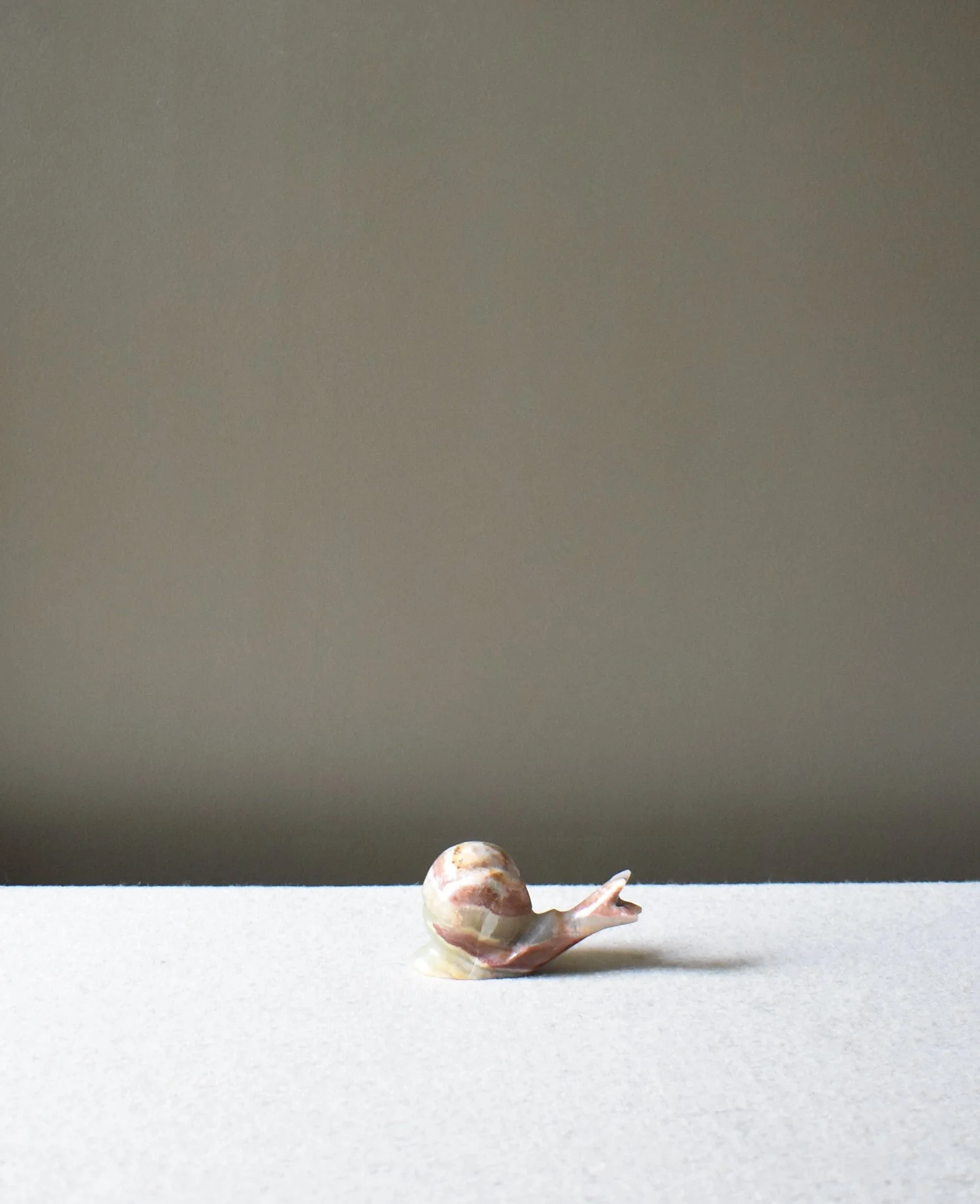 Onyx-Snail-5.jpg