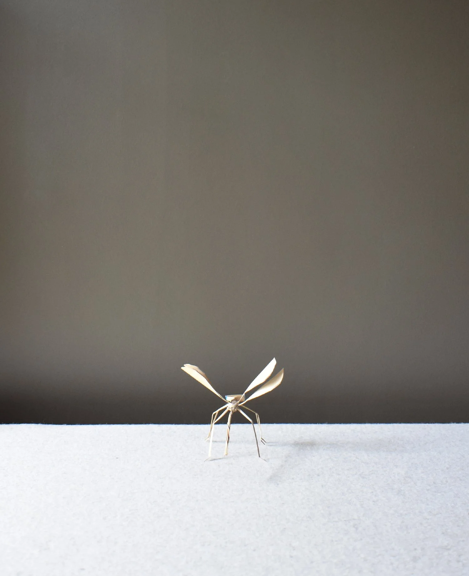 Corn-Leaf-Dragonfly-2.jpg