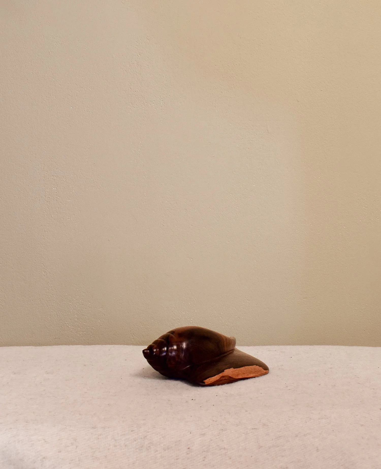 shell-doorstop-1.jpg
