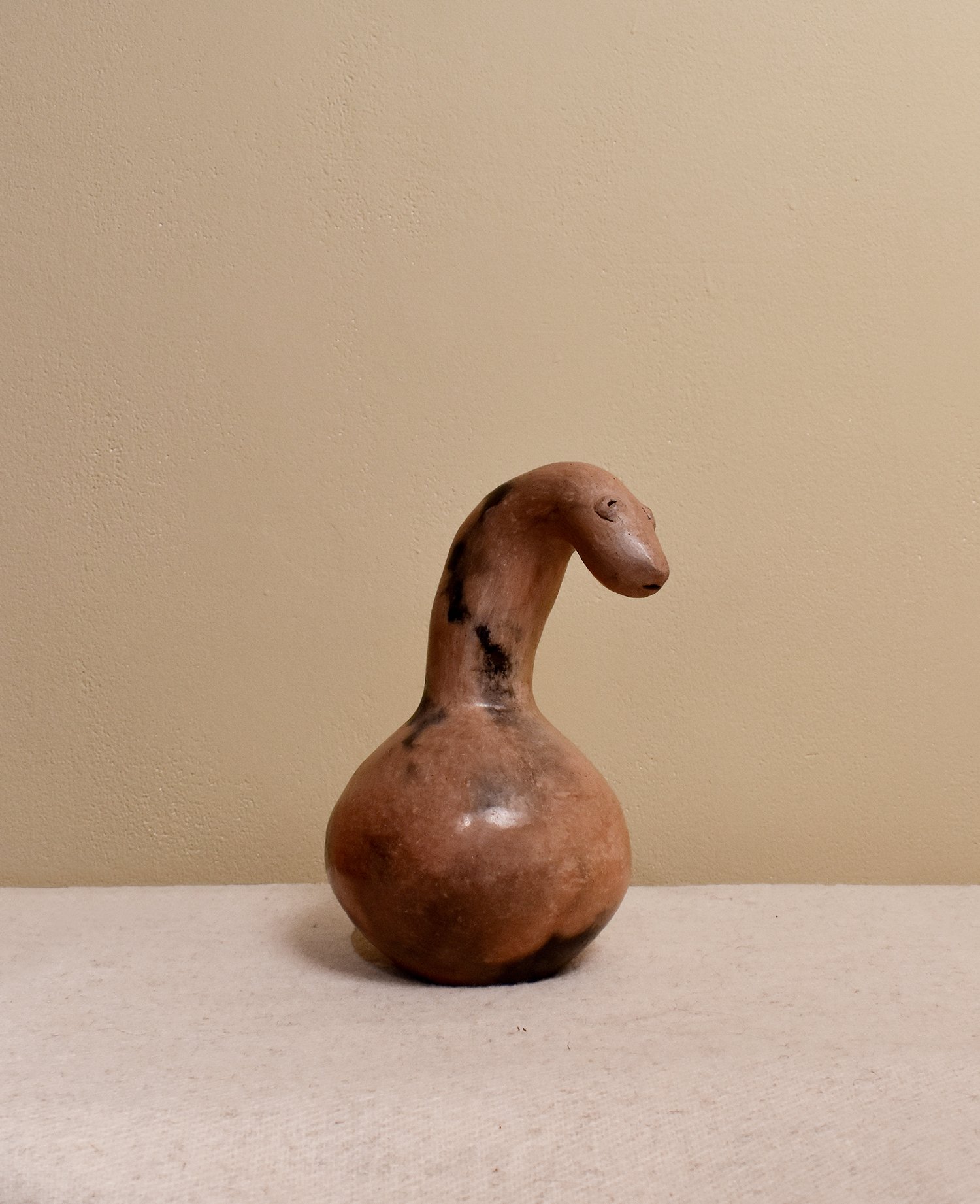 Barro-Snake-3.jpg