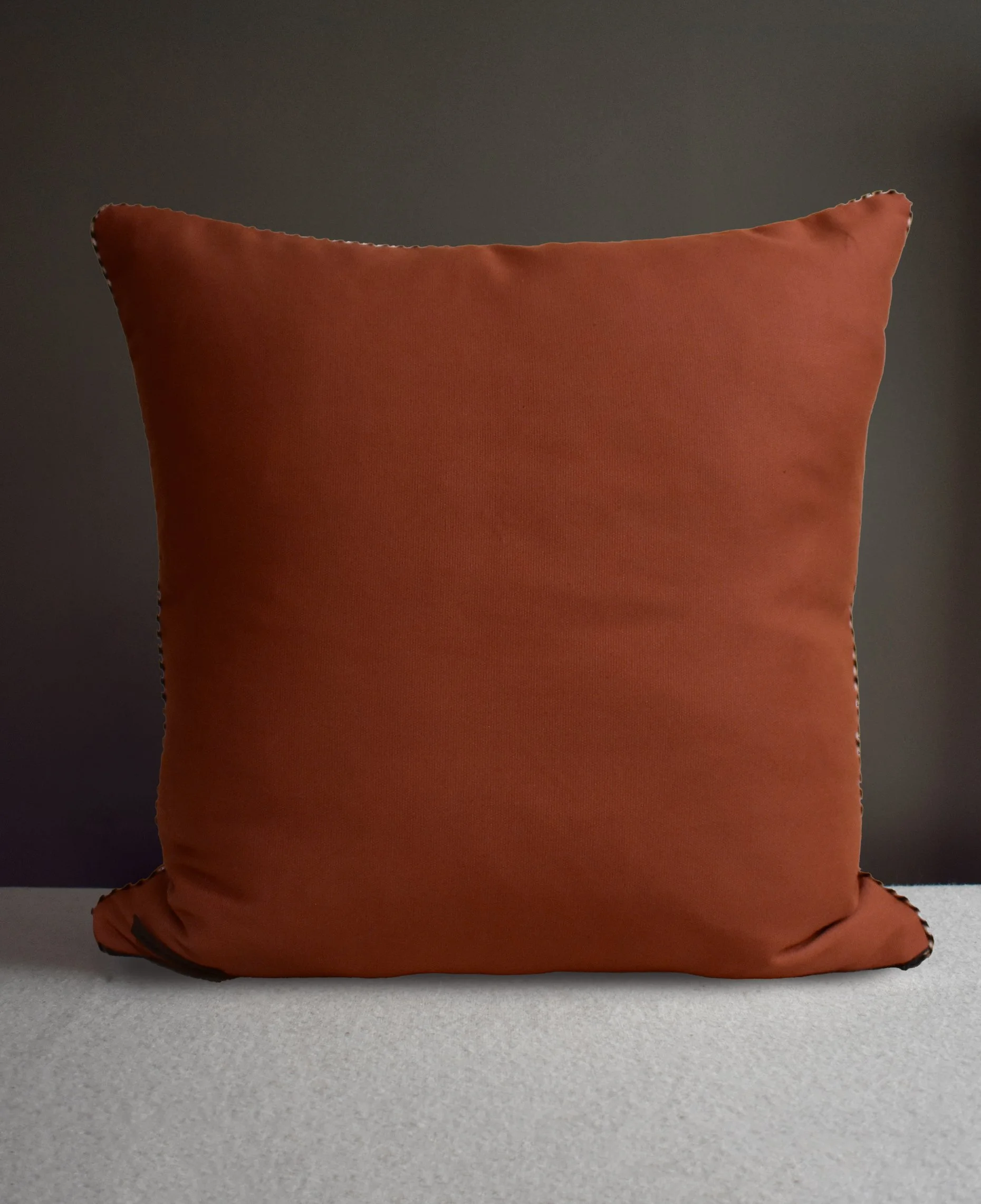 terracotta-back-cushion-50x50.jpg (Copy) (Copy)