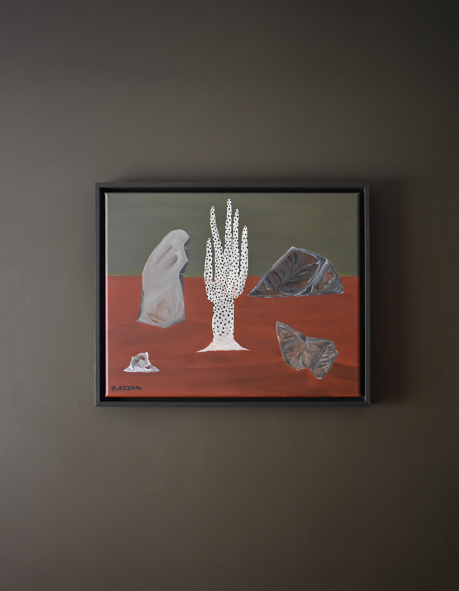 White-cactus-in-landscape.jpg