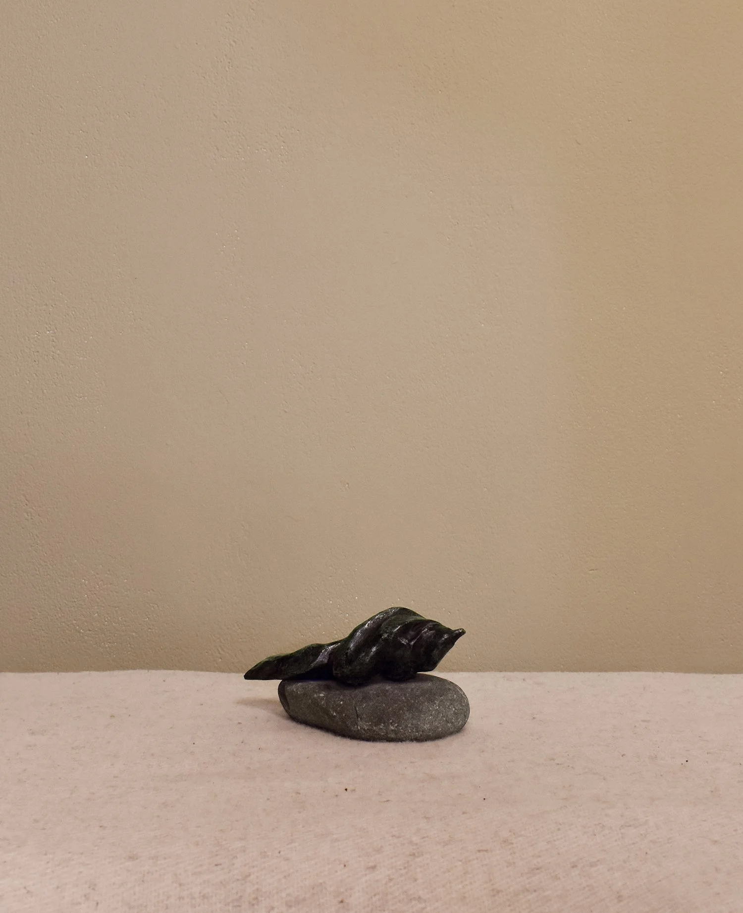 shell-on-rock-1.jpg