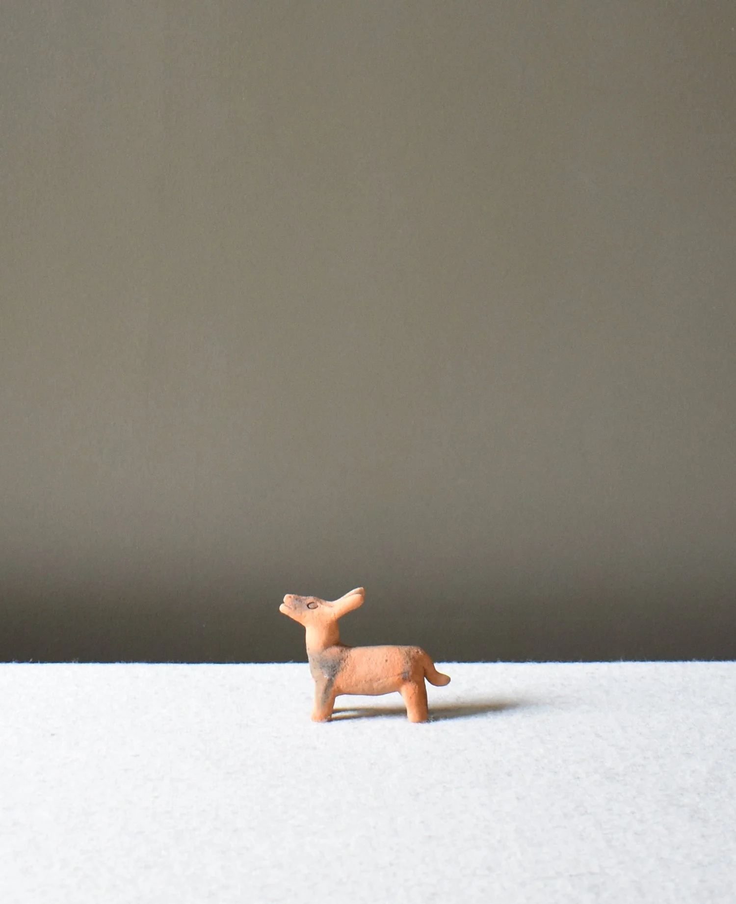 Burro-Pequeno-5.jpg