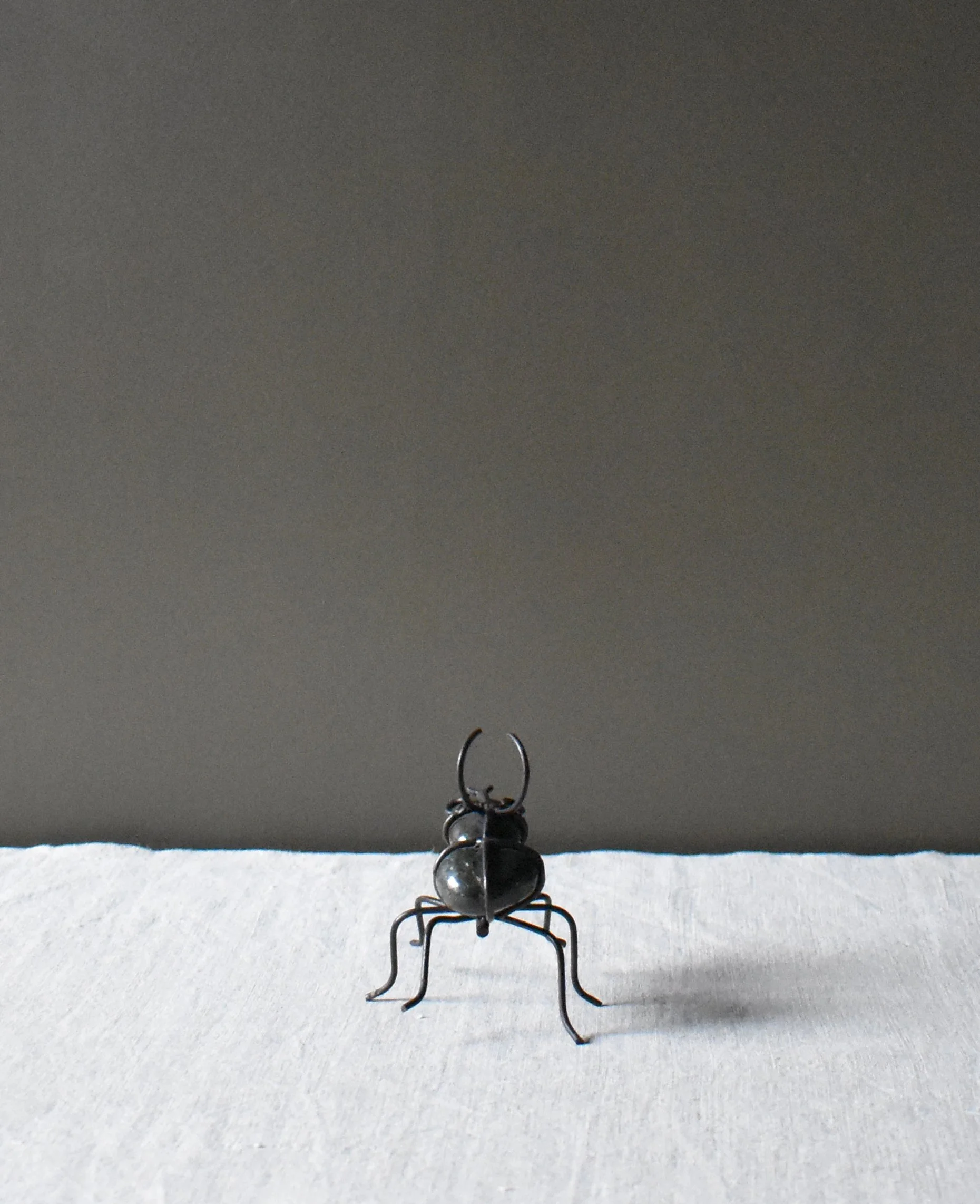 stone-ant4.jpg
